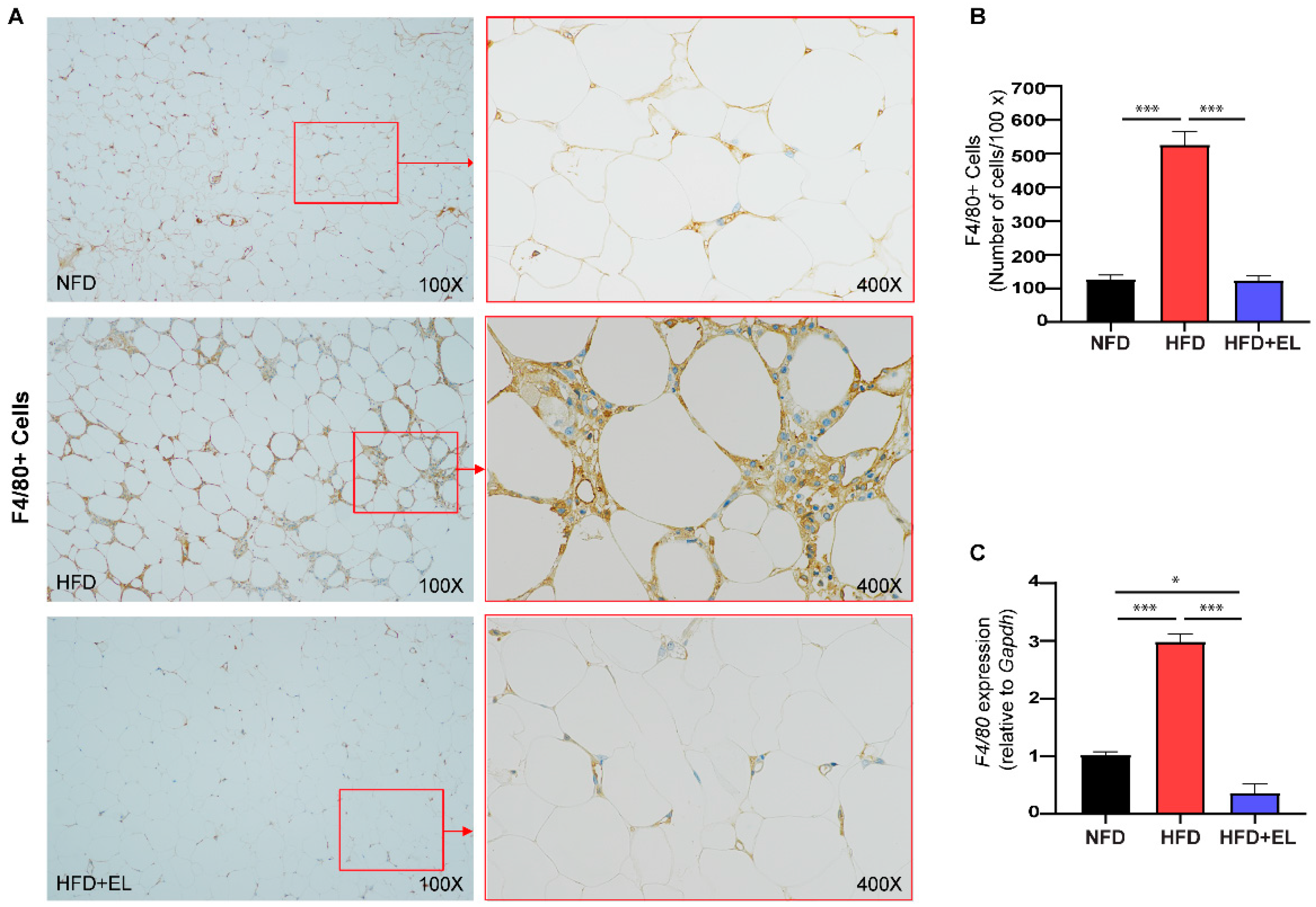 Antioxidants 13 01485 g005 Antioxidants 13 01485 g005