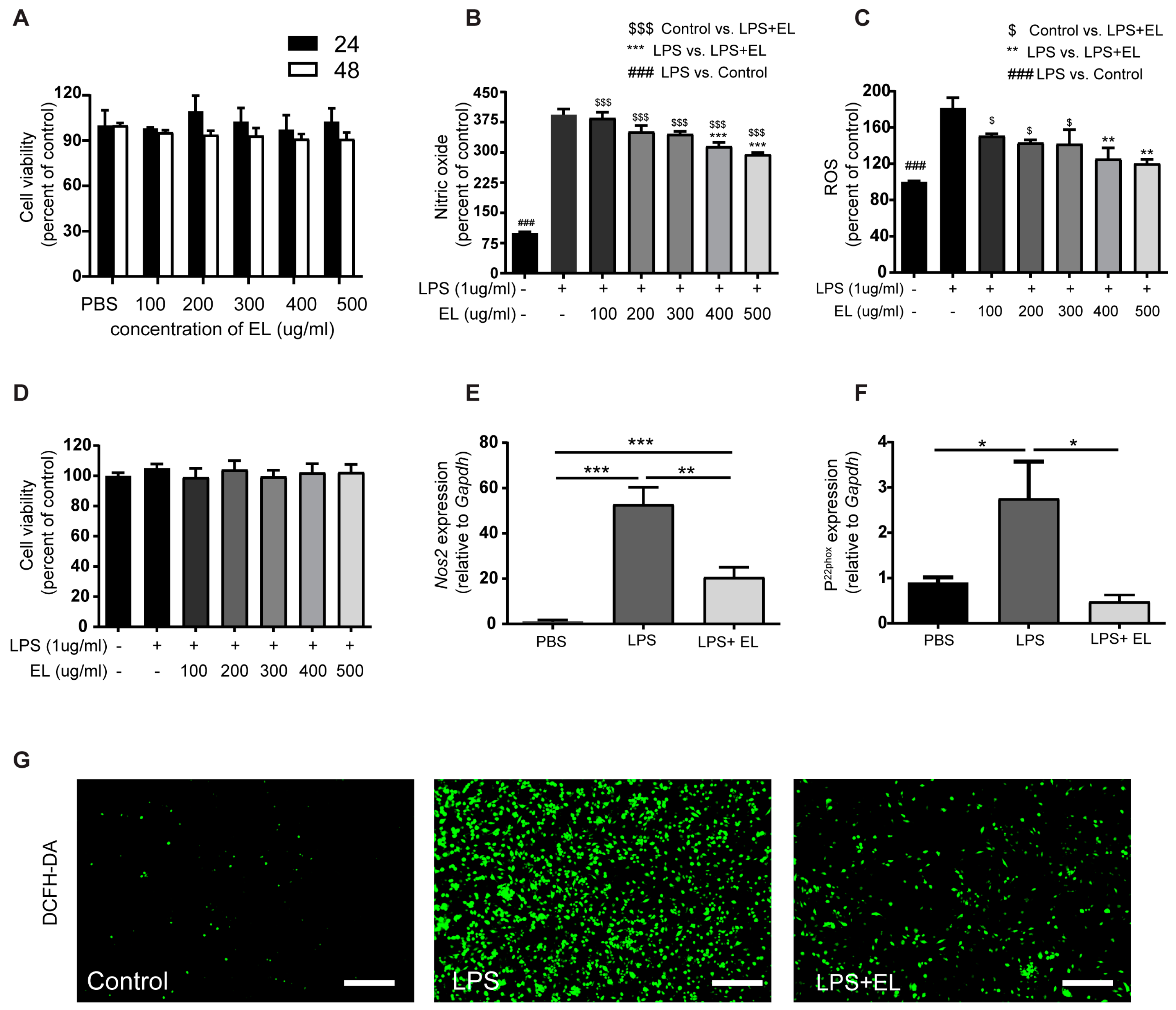 Antioxidants 13 01485 g006 Antioxidants 13 01485 g006