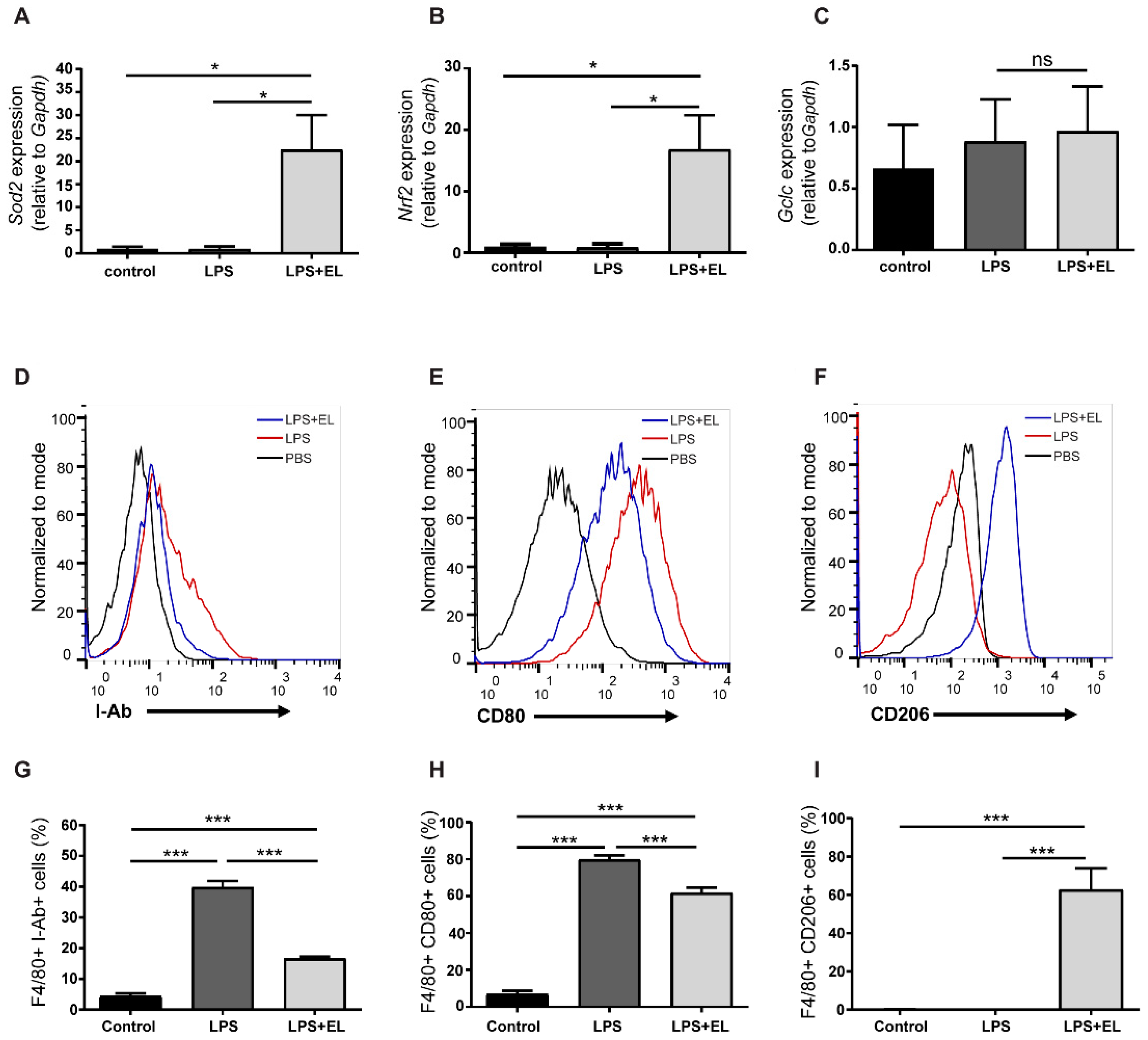 Antioxidants 13 01485 g007 Antioxidants 13 01485 g007
