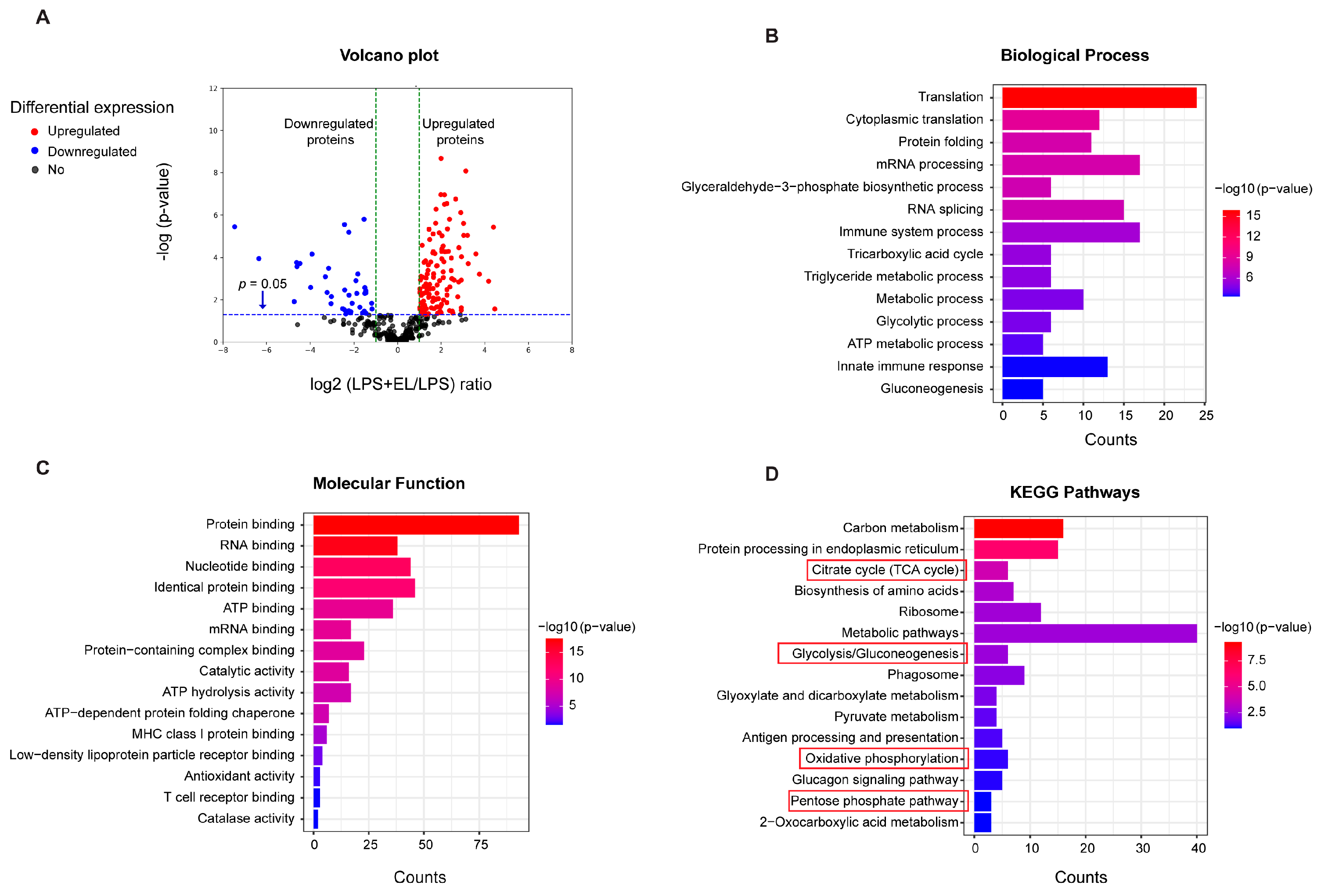 Antioxidants 13 01485 g009 Antioxidants 13 01485 g009