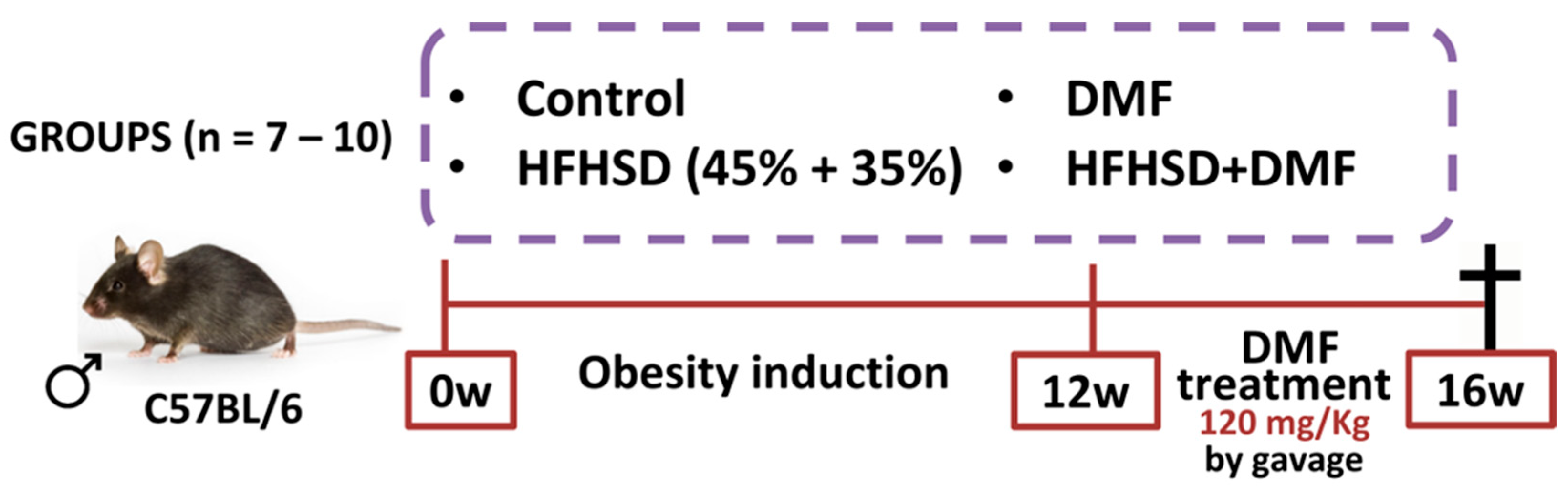 Antioxidants 13 01496 g002