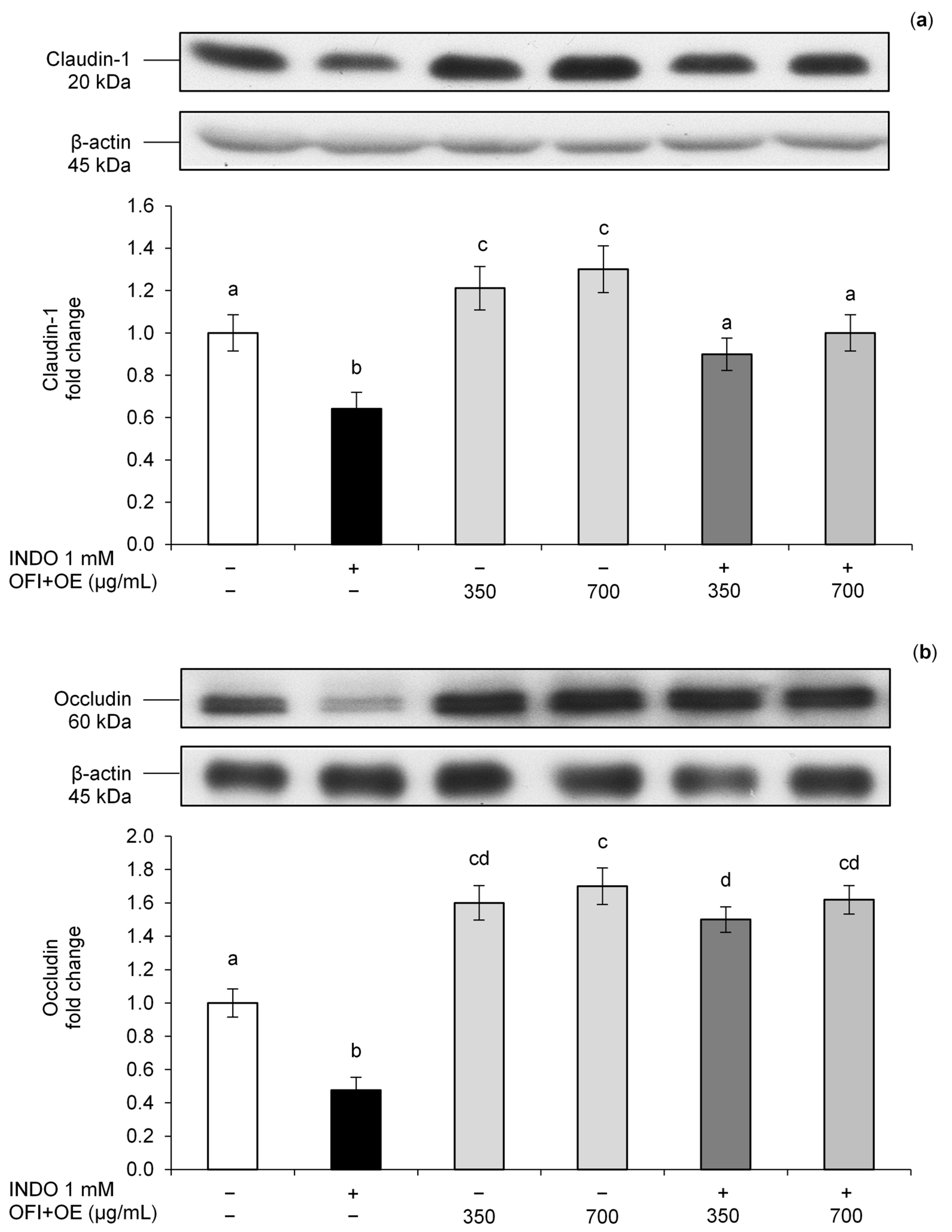 Antioxidants 13 01507 g003