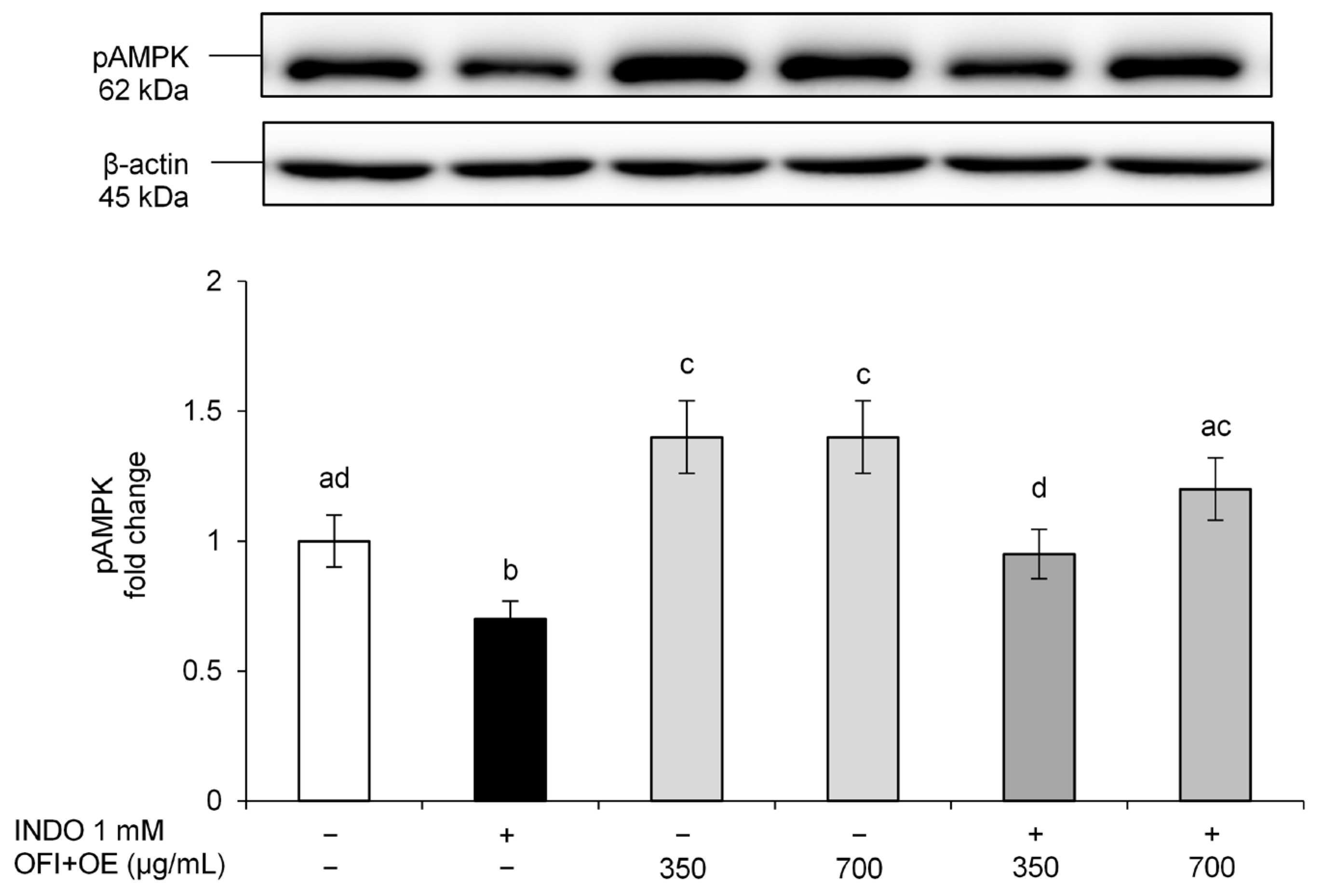 Antioxidants 13 01507 g004