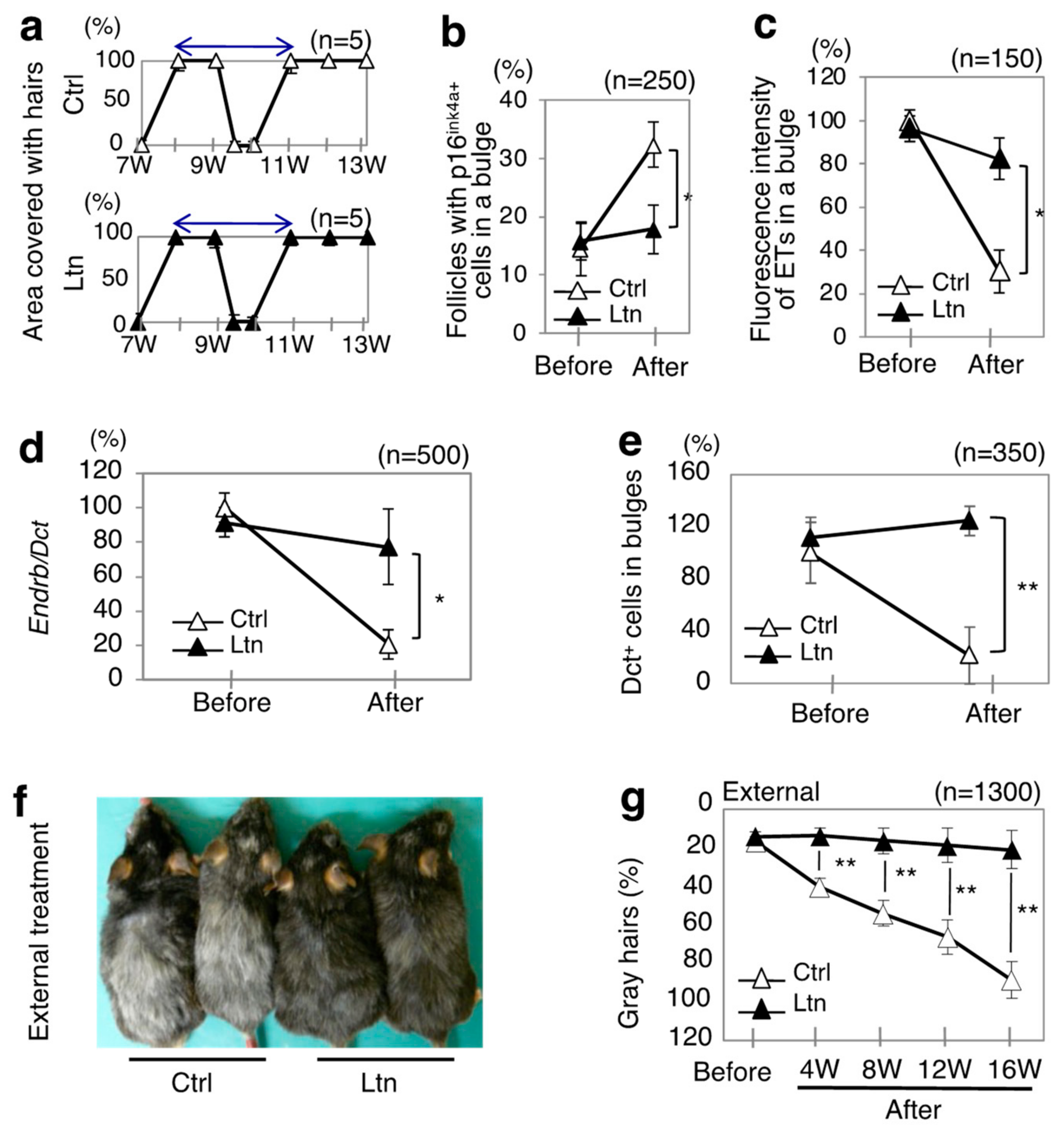 Antioxidants 13 01549 g001 Antioxidants 13 01549 g001