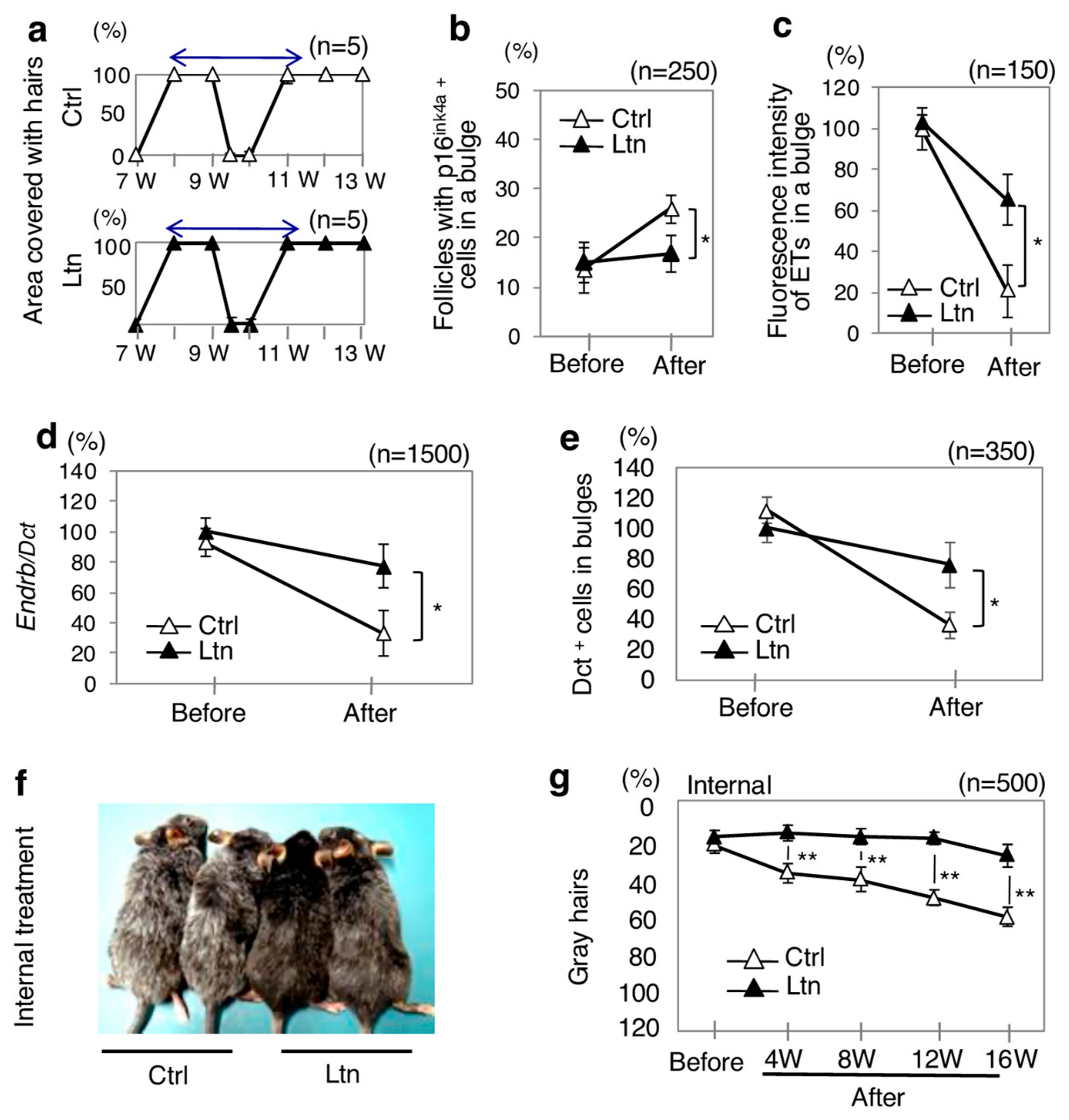 Antioxidants 13 01549 g003 Antioxidants 13 01549 g003