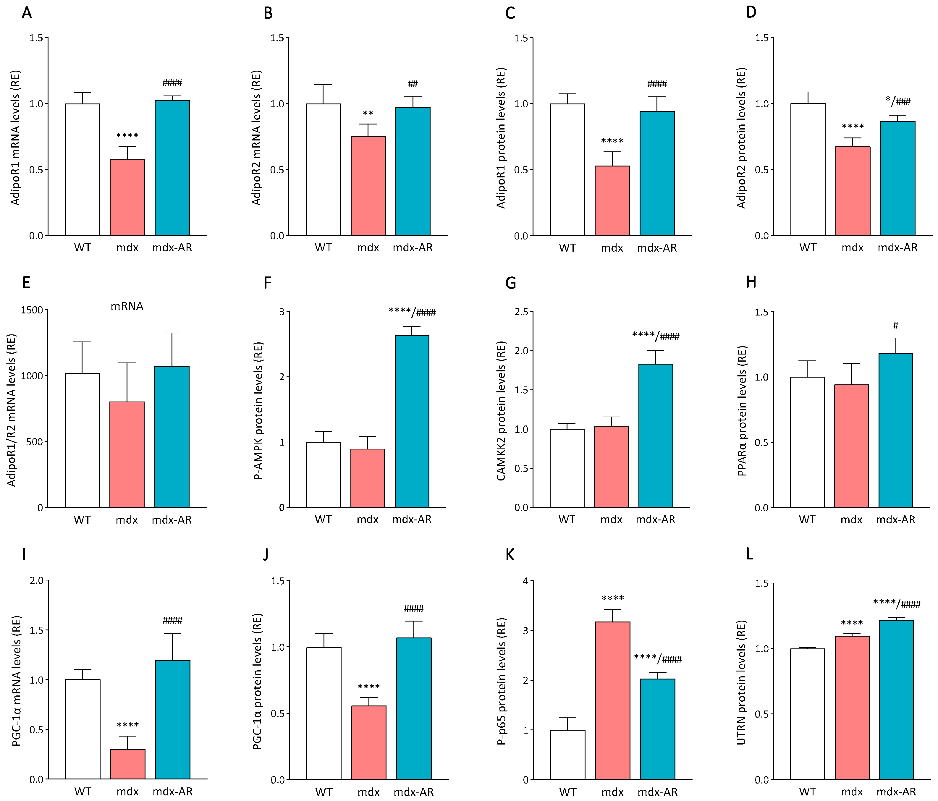 Antioxidants 13 01551 g005