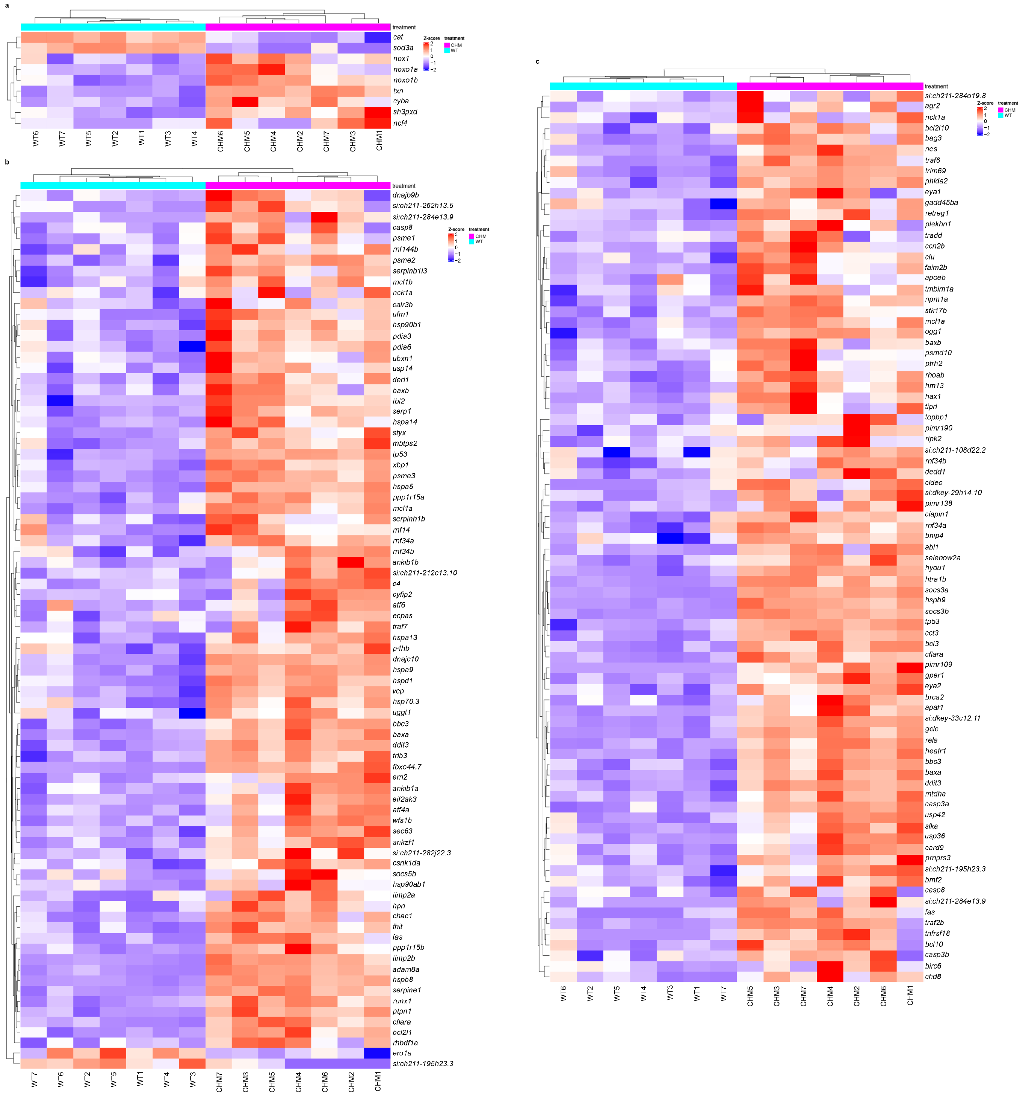 Antioxidants 13 01587 g002 Antioxidants 13 01587 g002