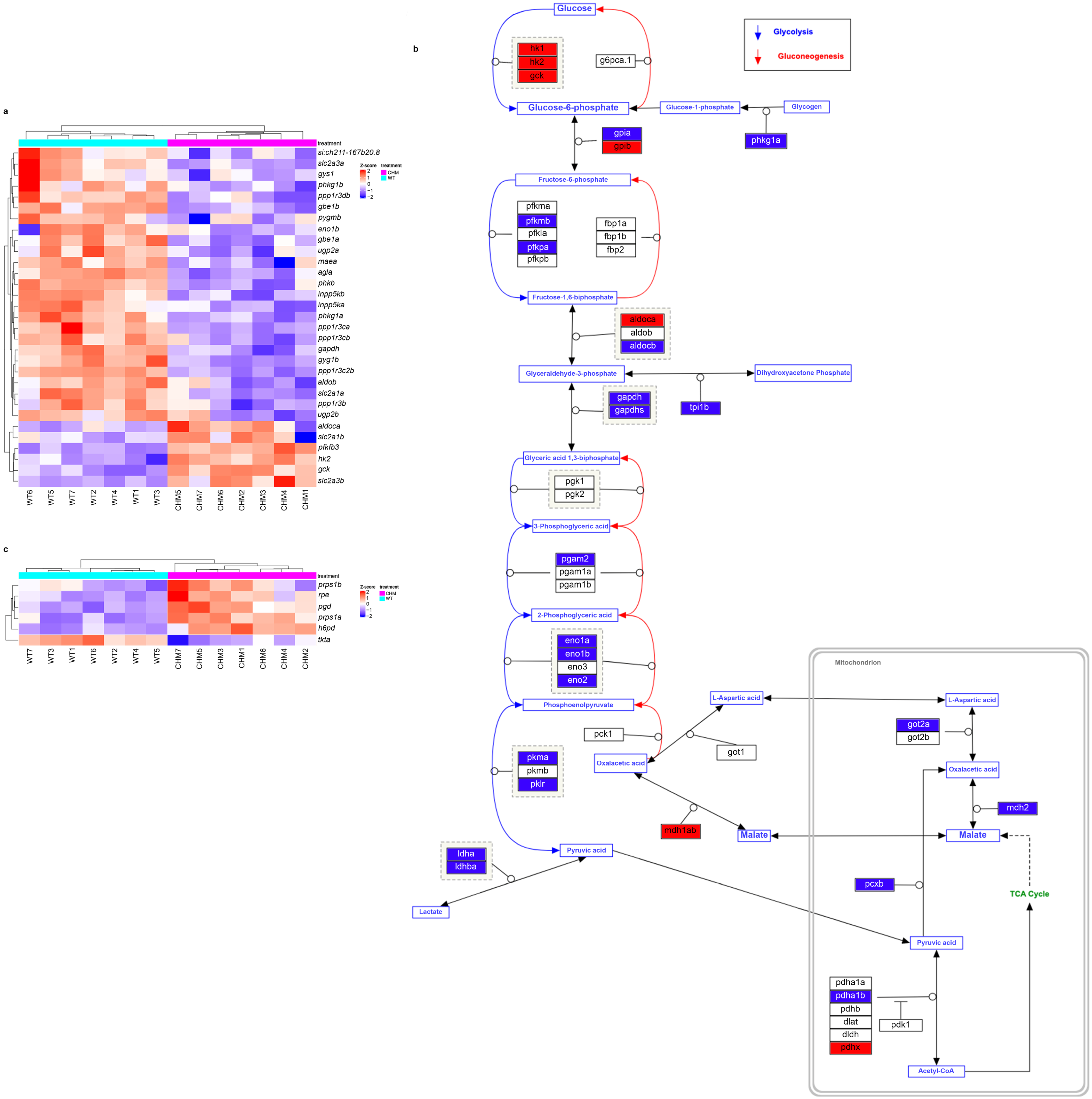 Antioxidants 13 01587 g003 Antioxidants 13 01587 g003