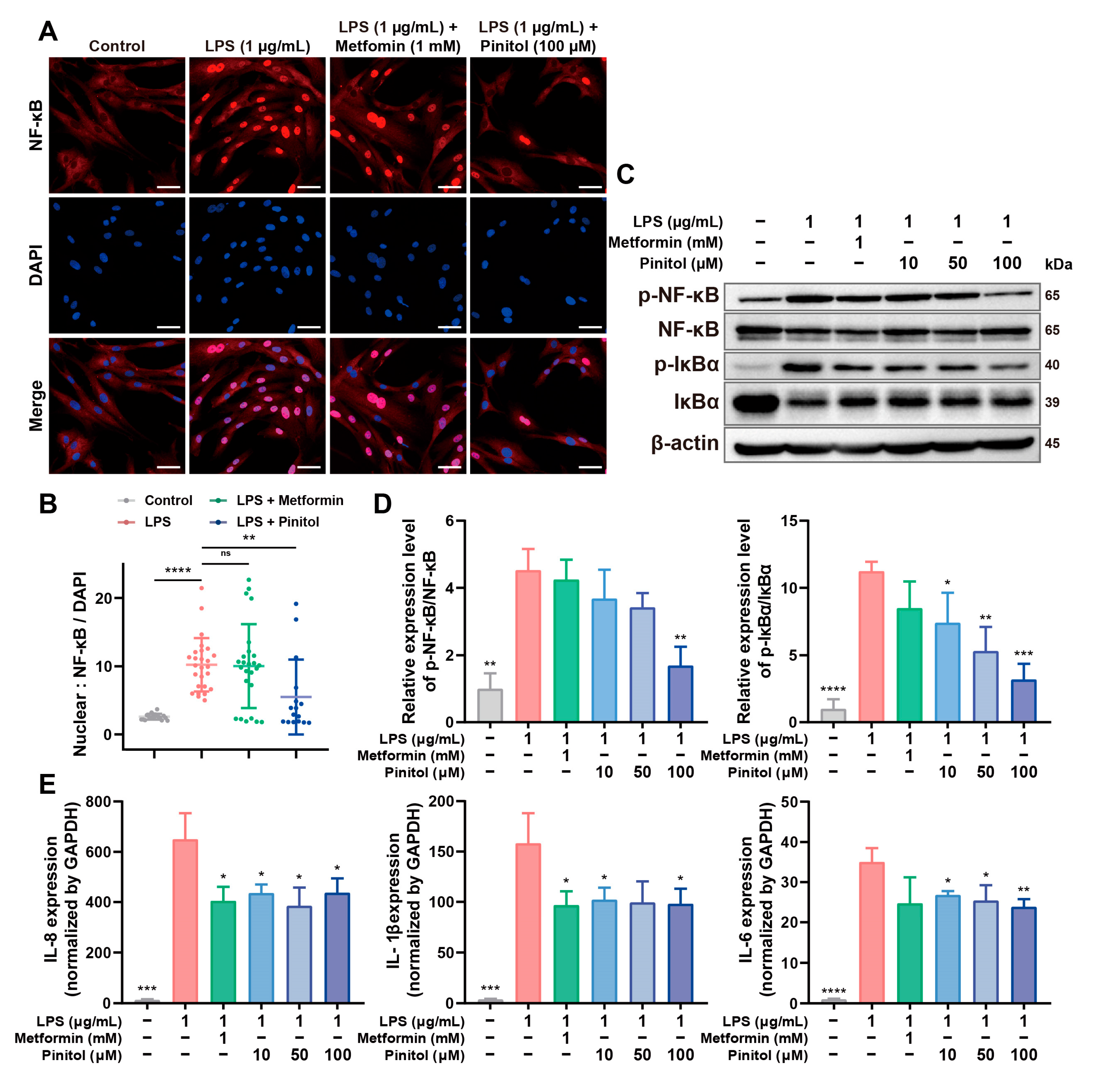 Antioxidants 14 00015 g003