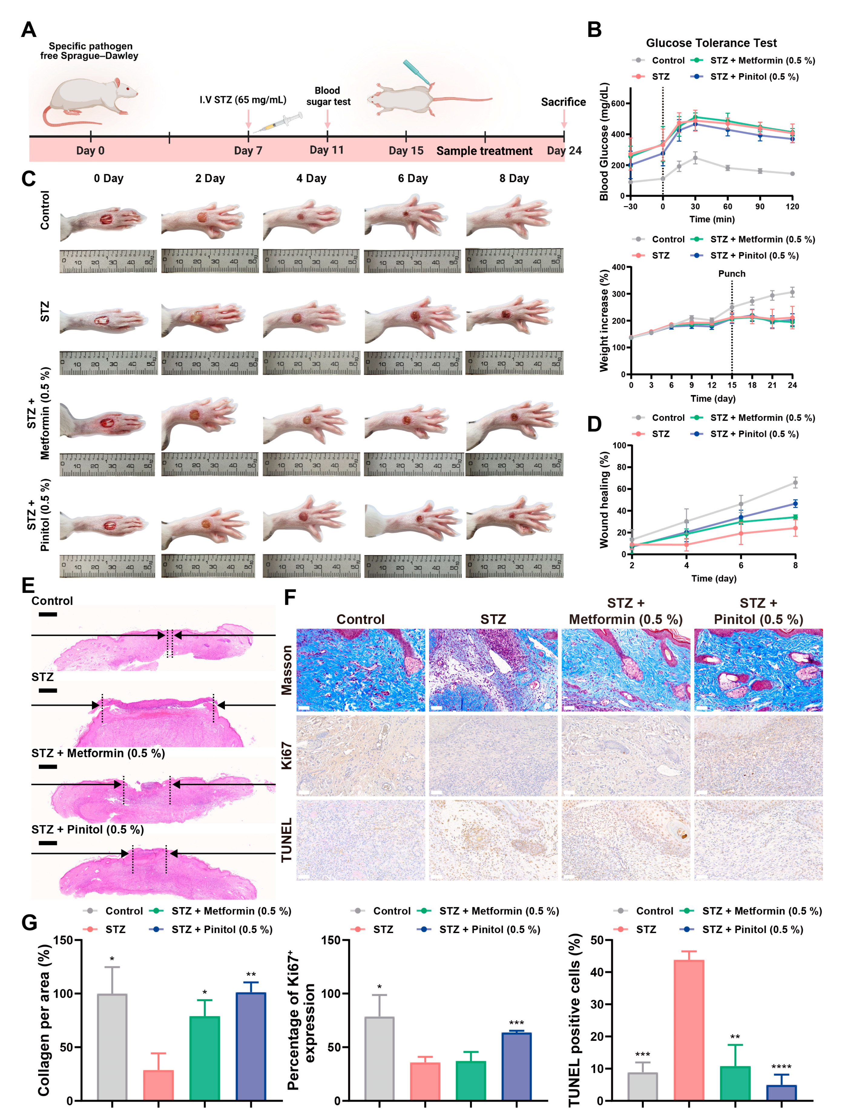 Antioxidants 14 00015 g006