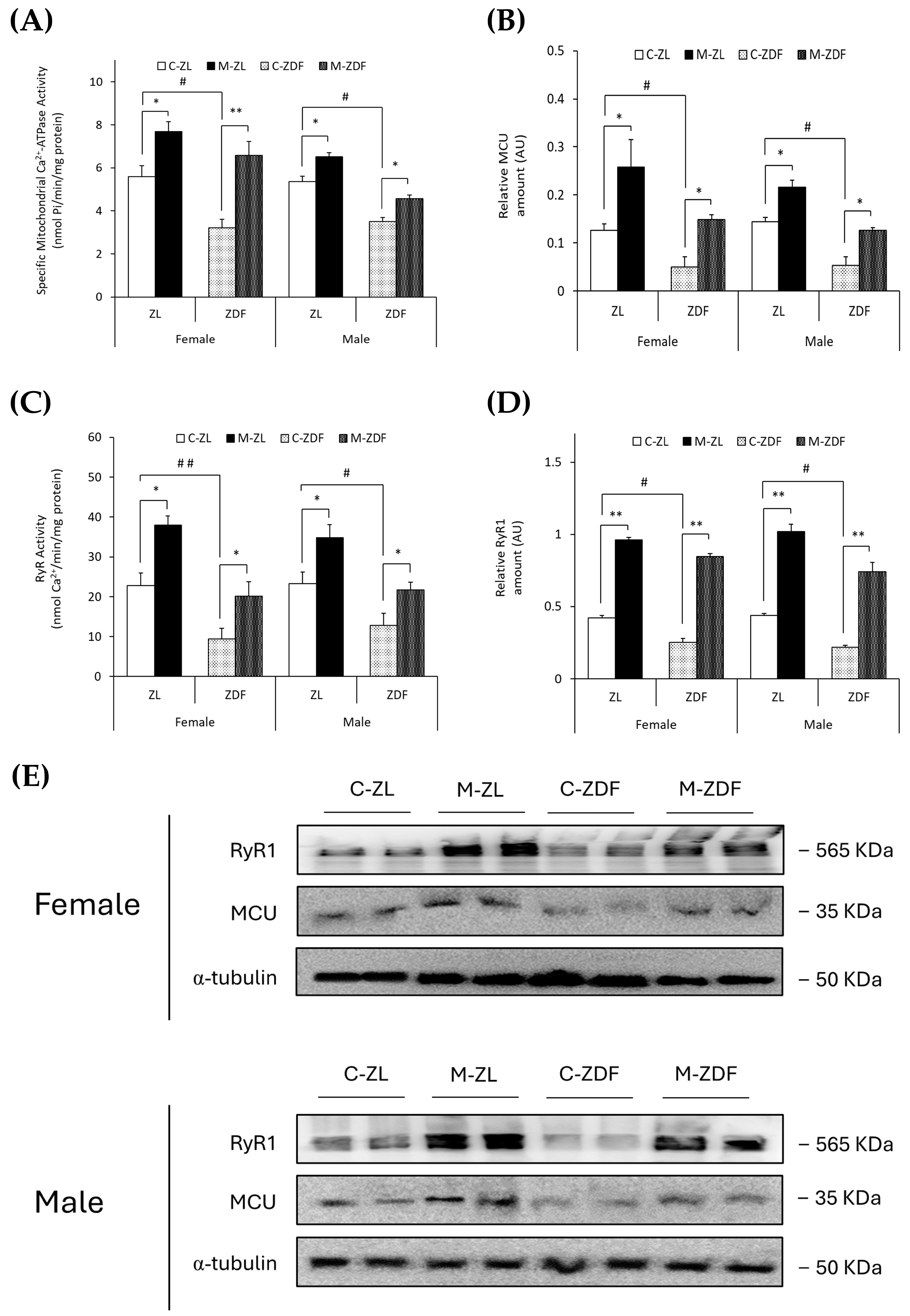 Antioxidants 14 00016 g002