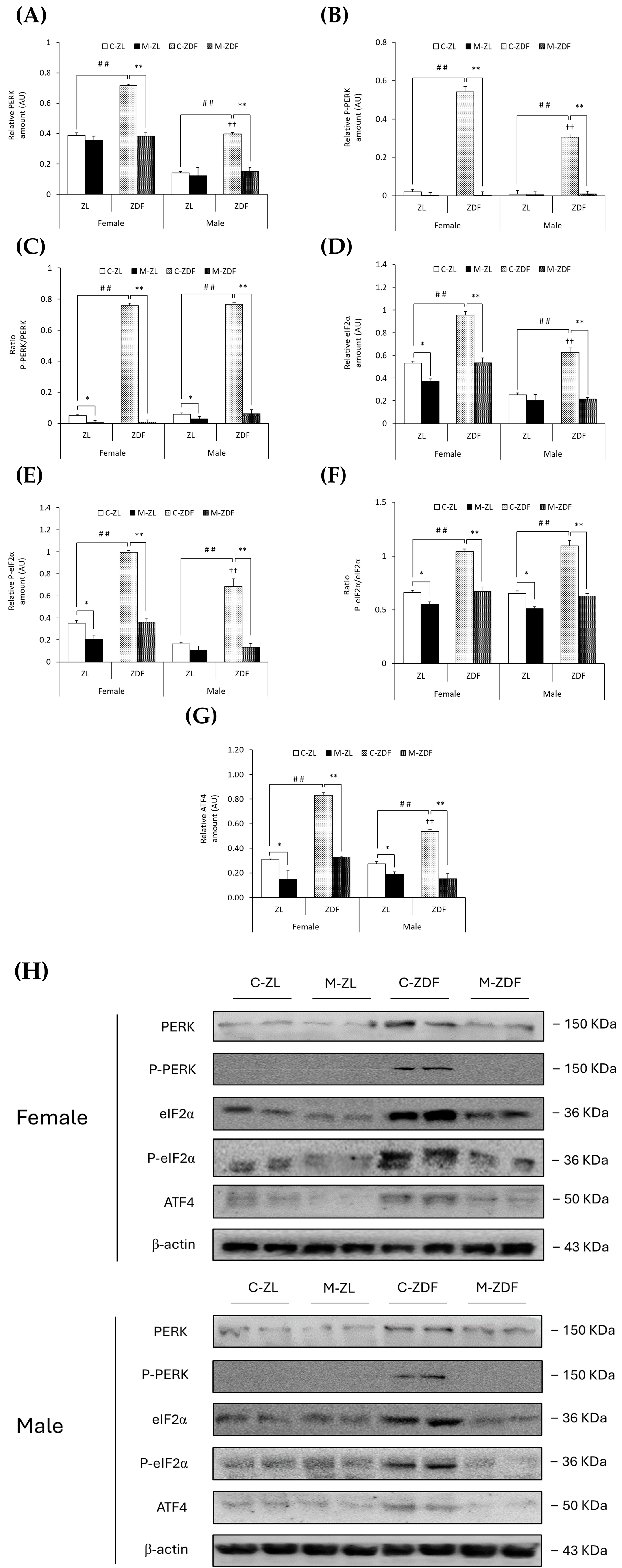 Antioxidants 14 00016 g004
