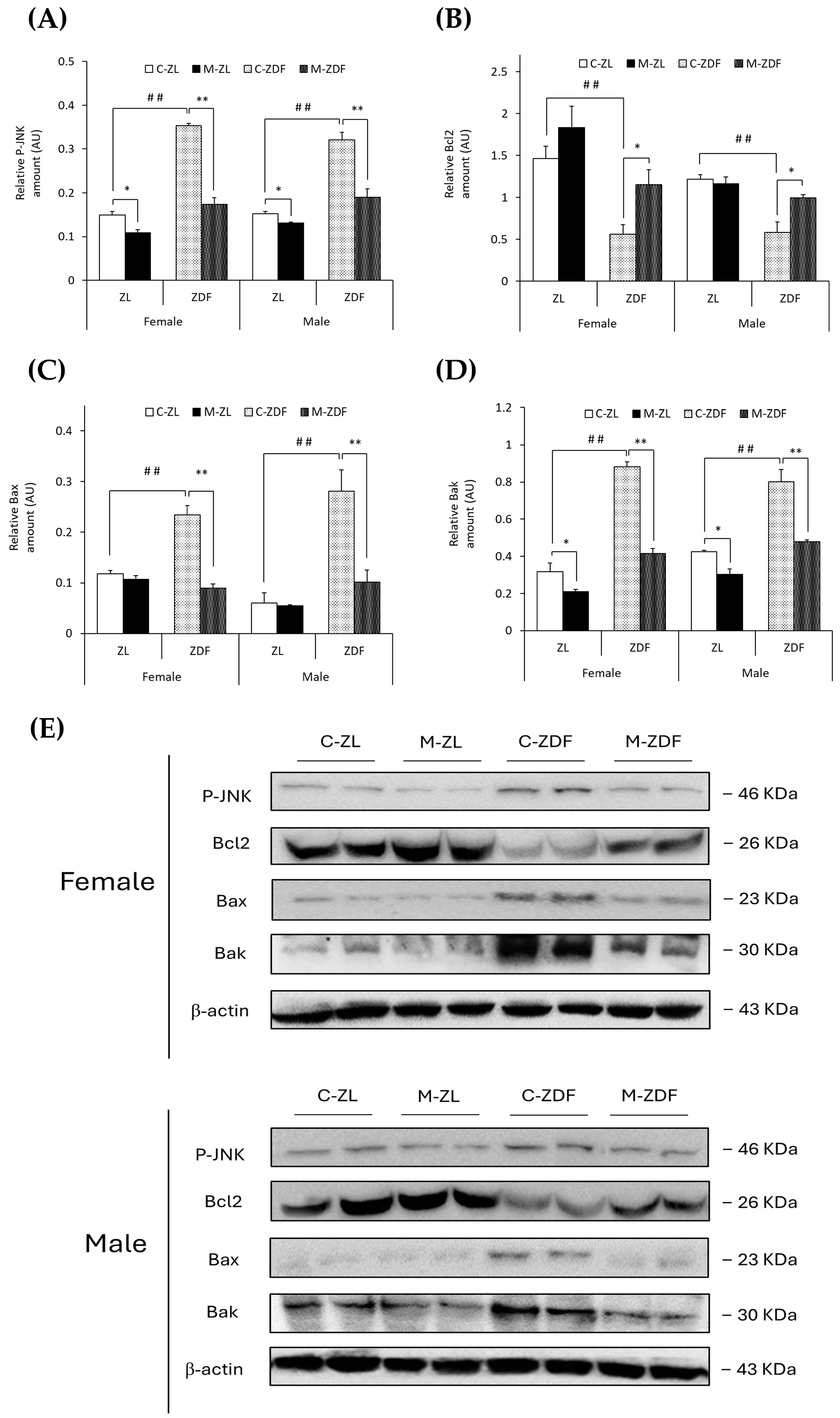 Antioxidants 14 00016 g005