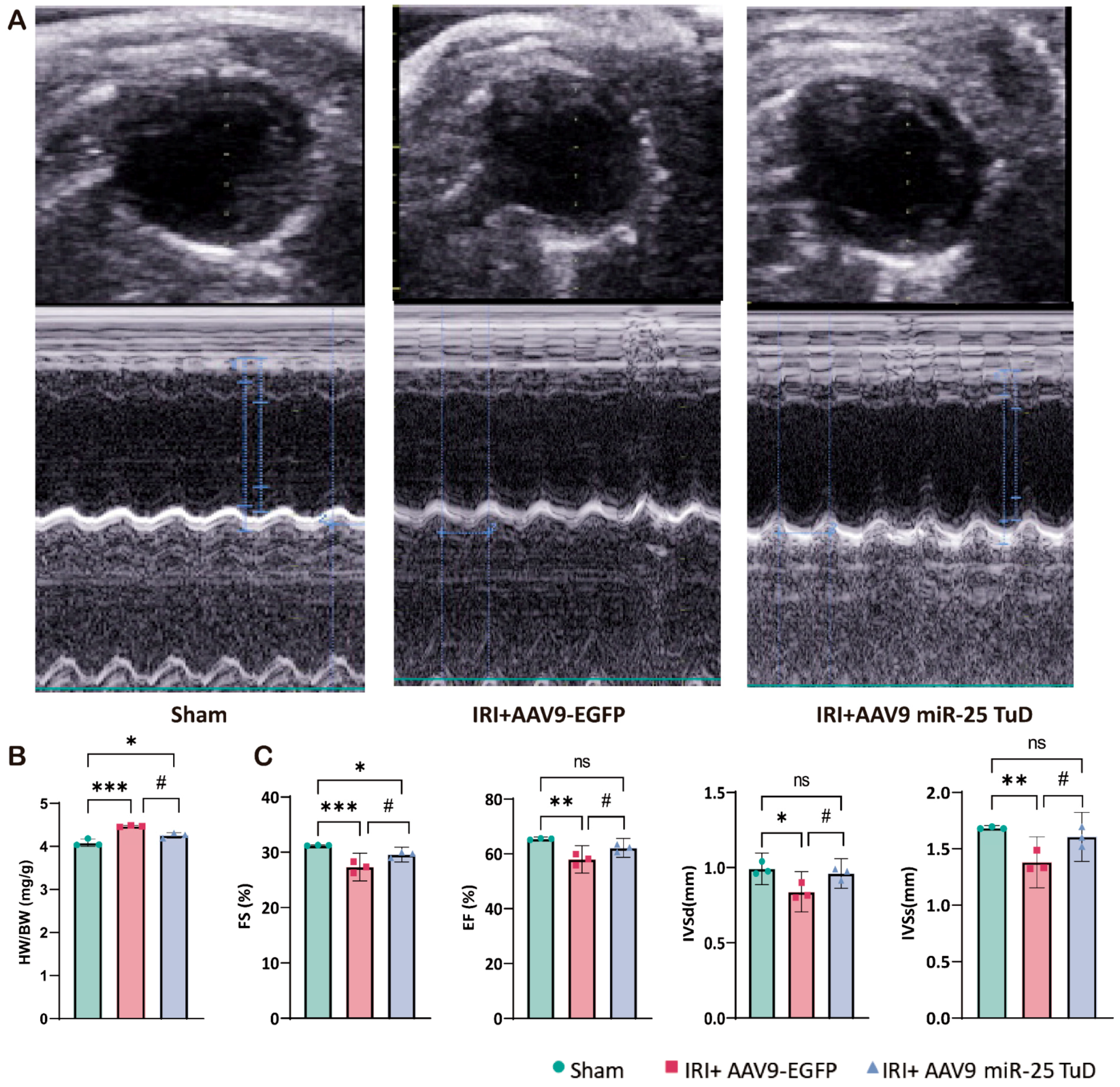 Antioxidants 14 00061 g005 Antioxidants 14 00061 g005