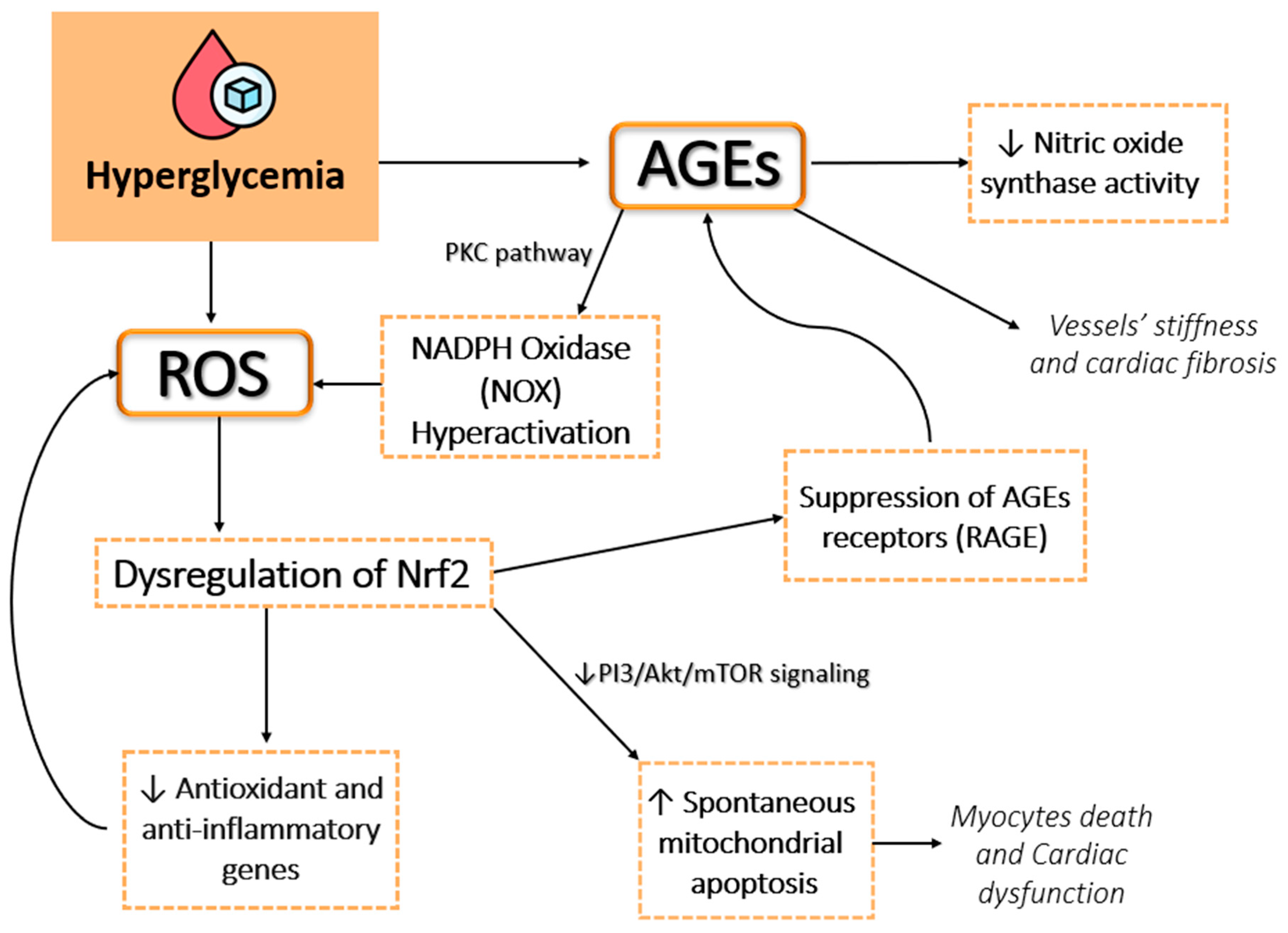 Antioxidants 14 00072 g001