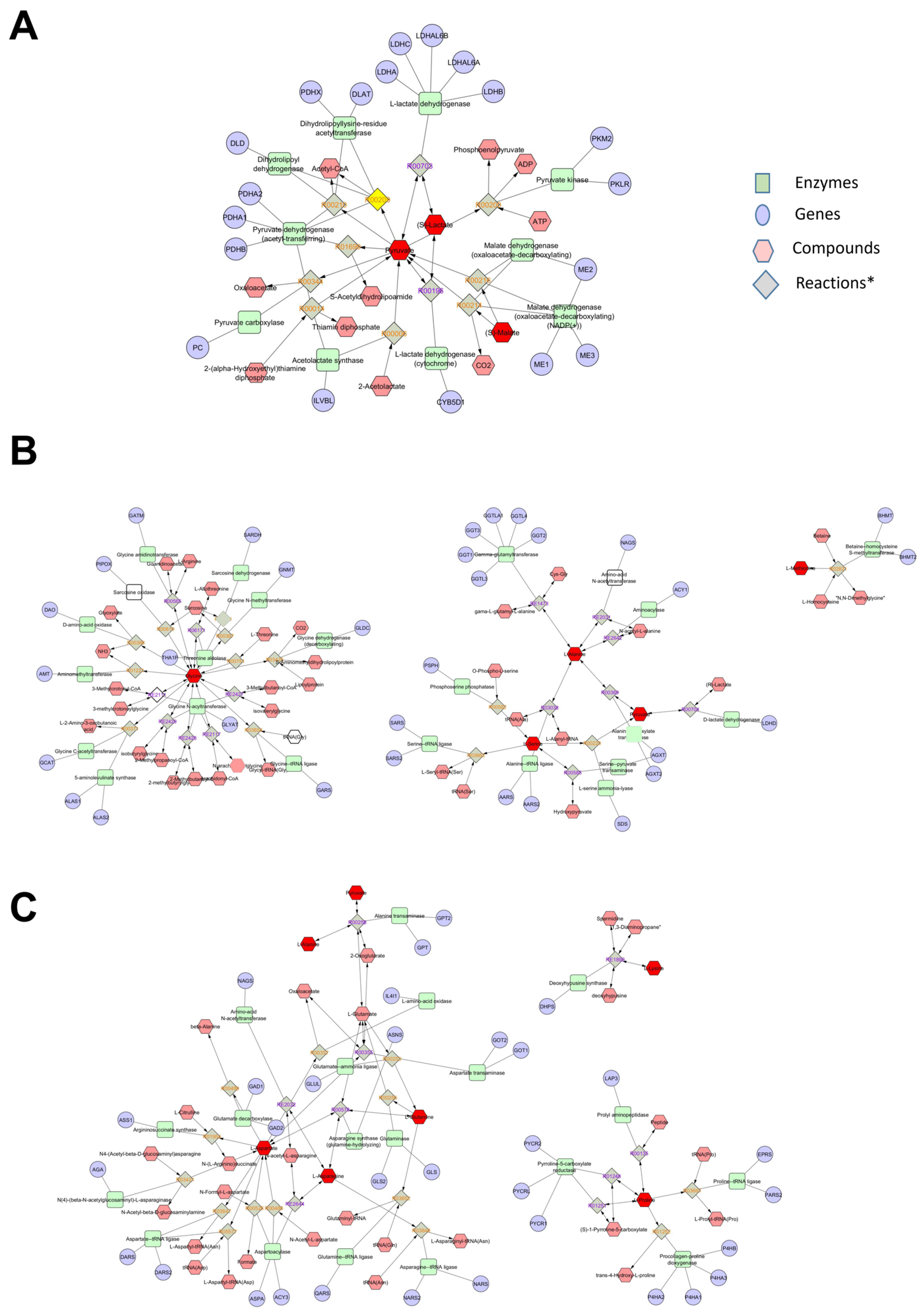 Antioxidants 14 00073 g004