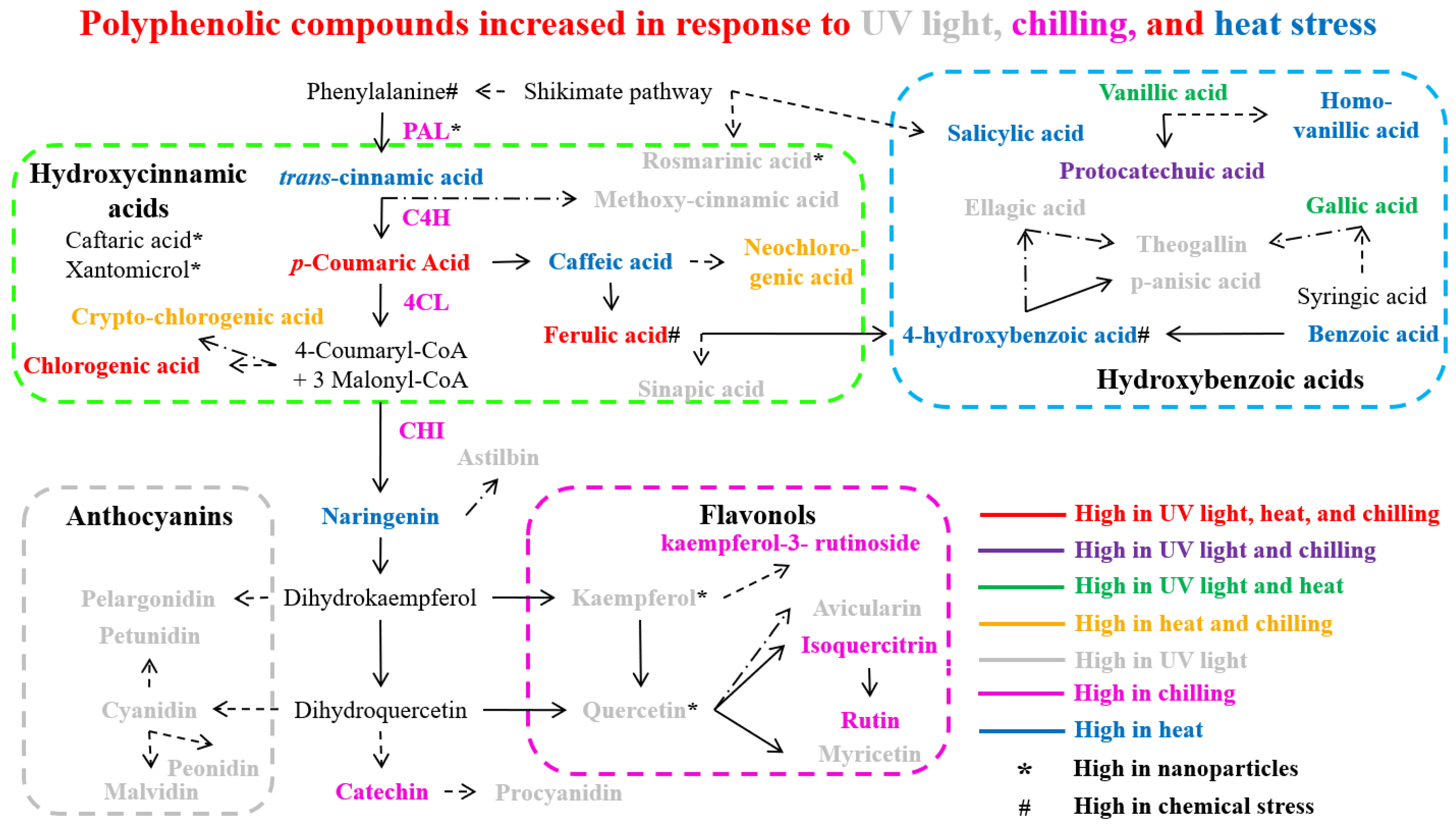 Antioxidants 14 00074 g003