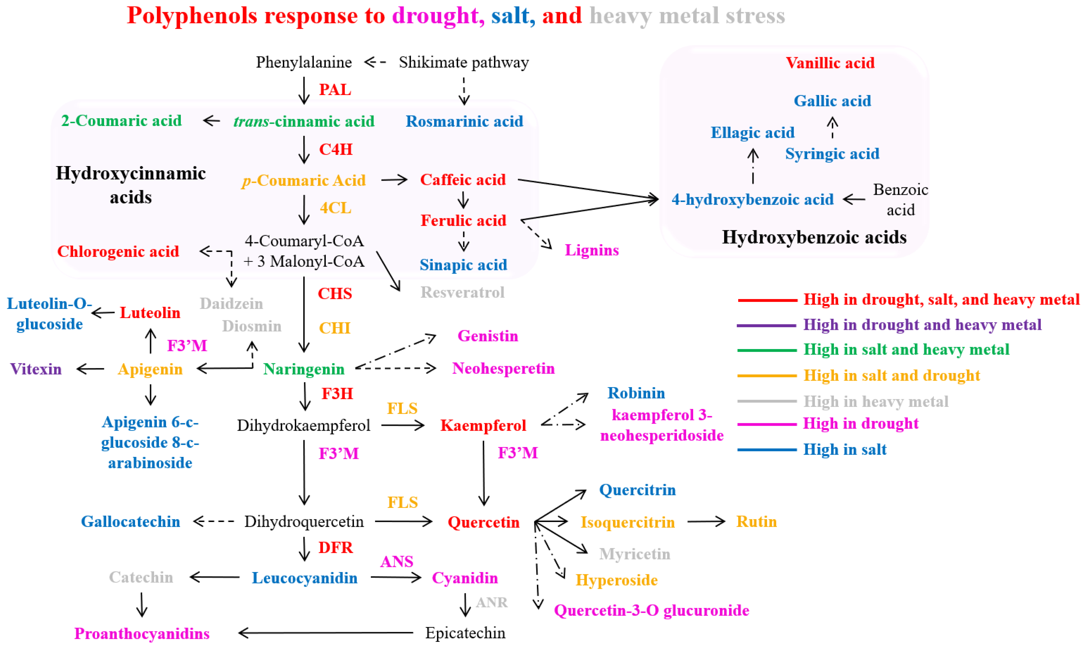 Antioxidants 14 00074 g004