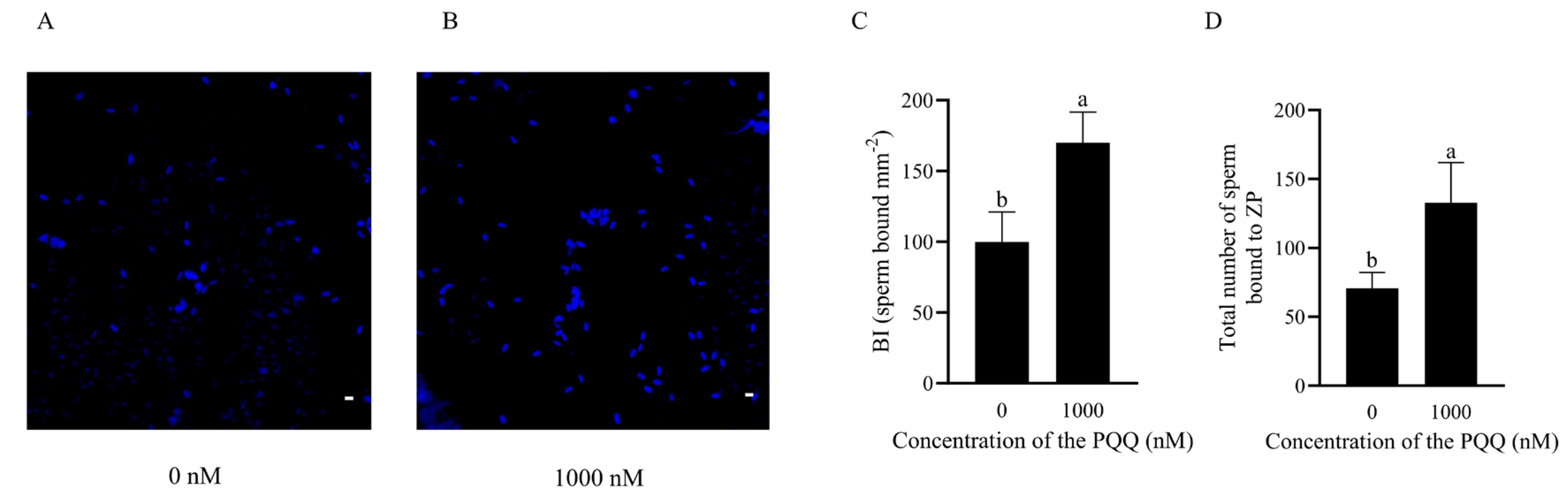 Antioxidants 14 00102 g006
