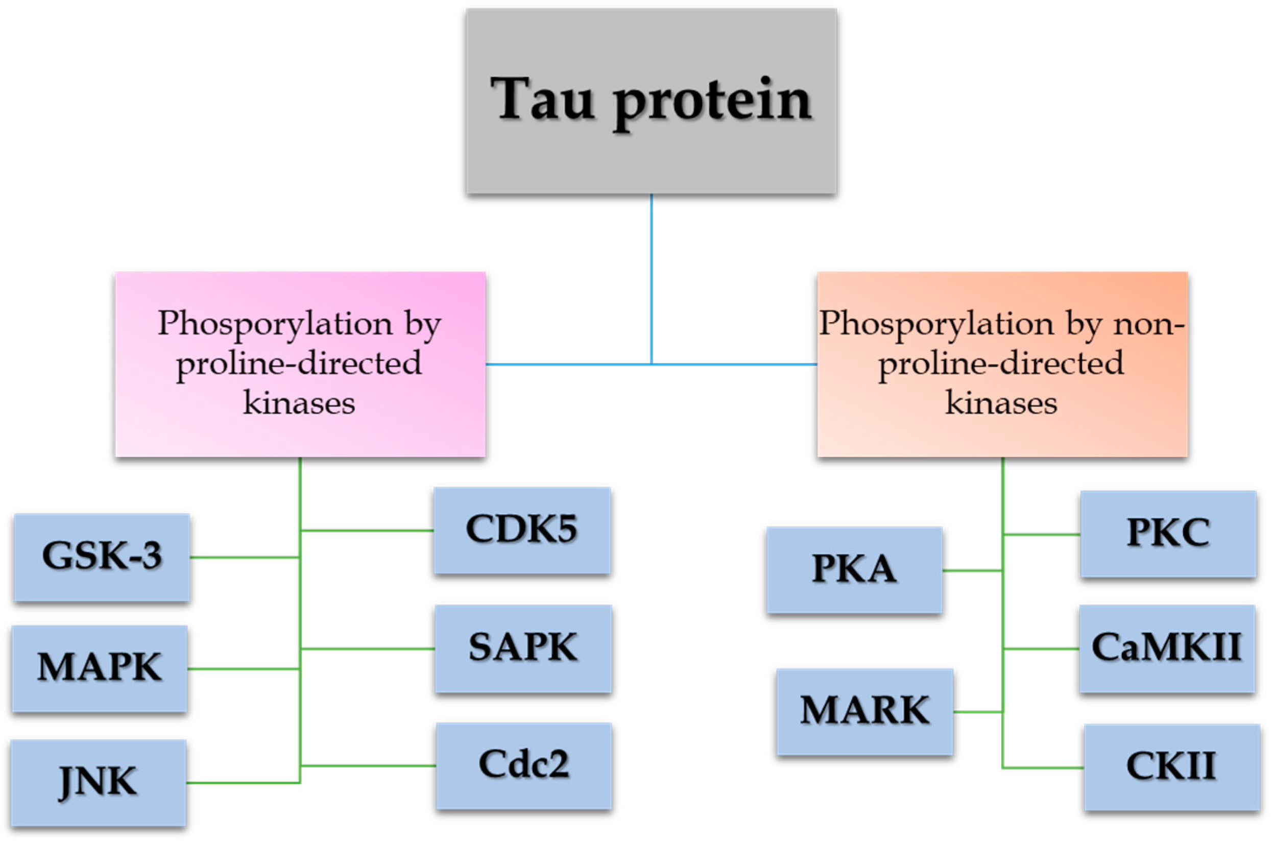 Antioxidants 14 00121 g001 Antioxidants 14 00121 g001
