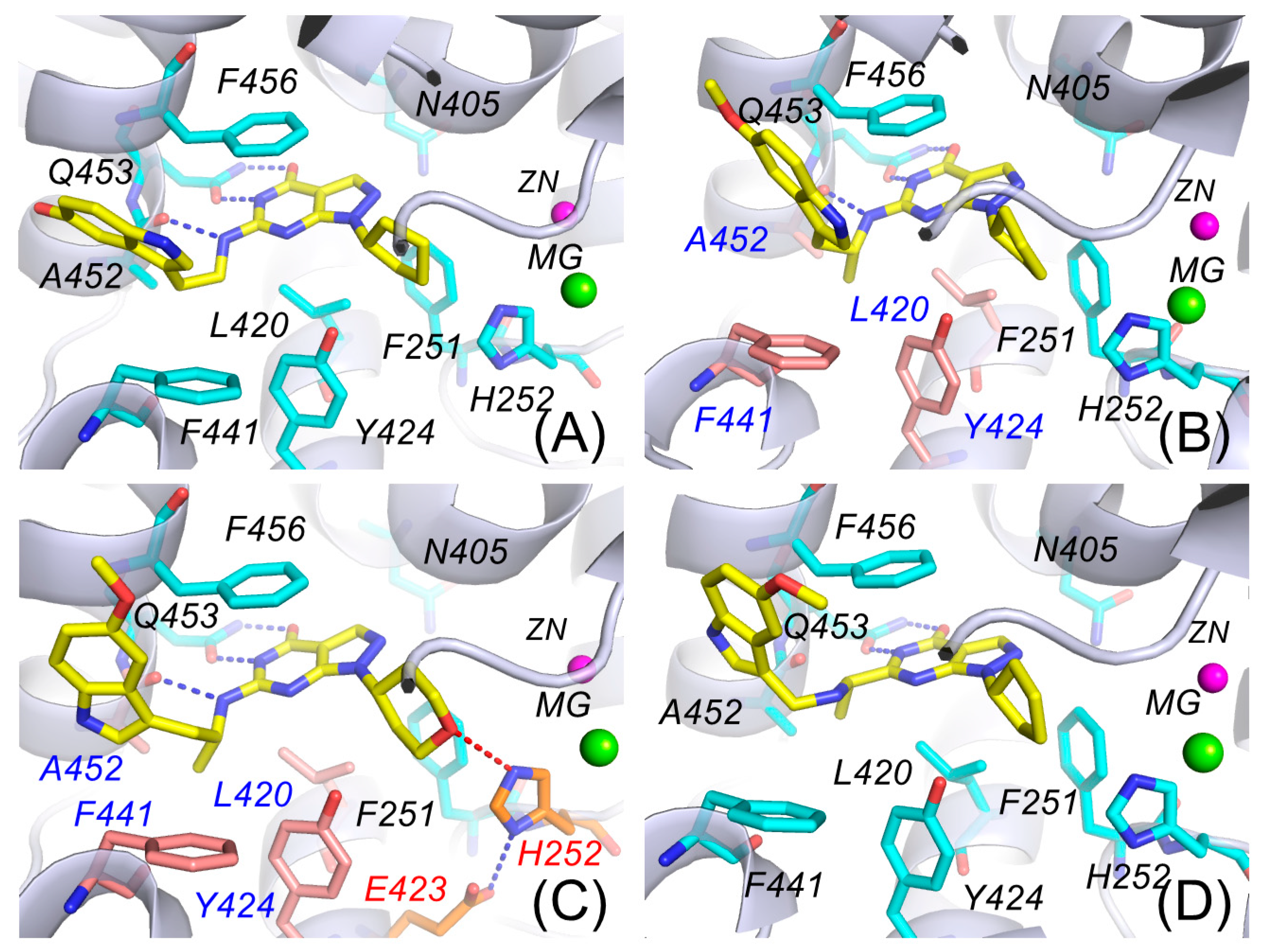 Antioxidants 14 00123 g003