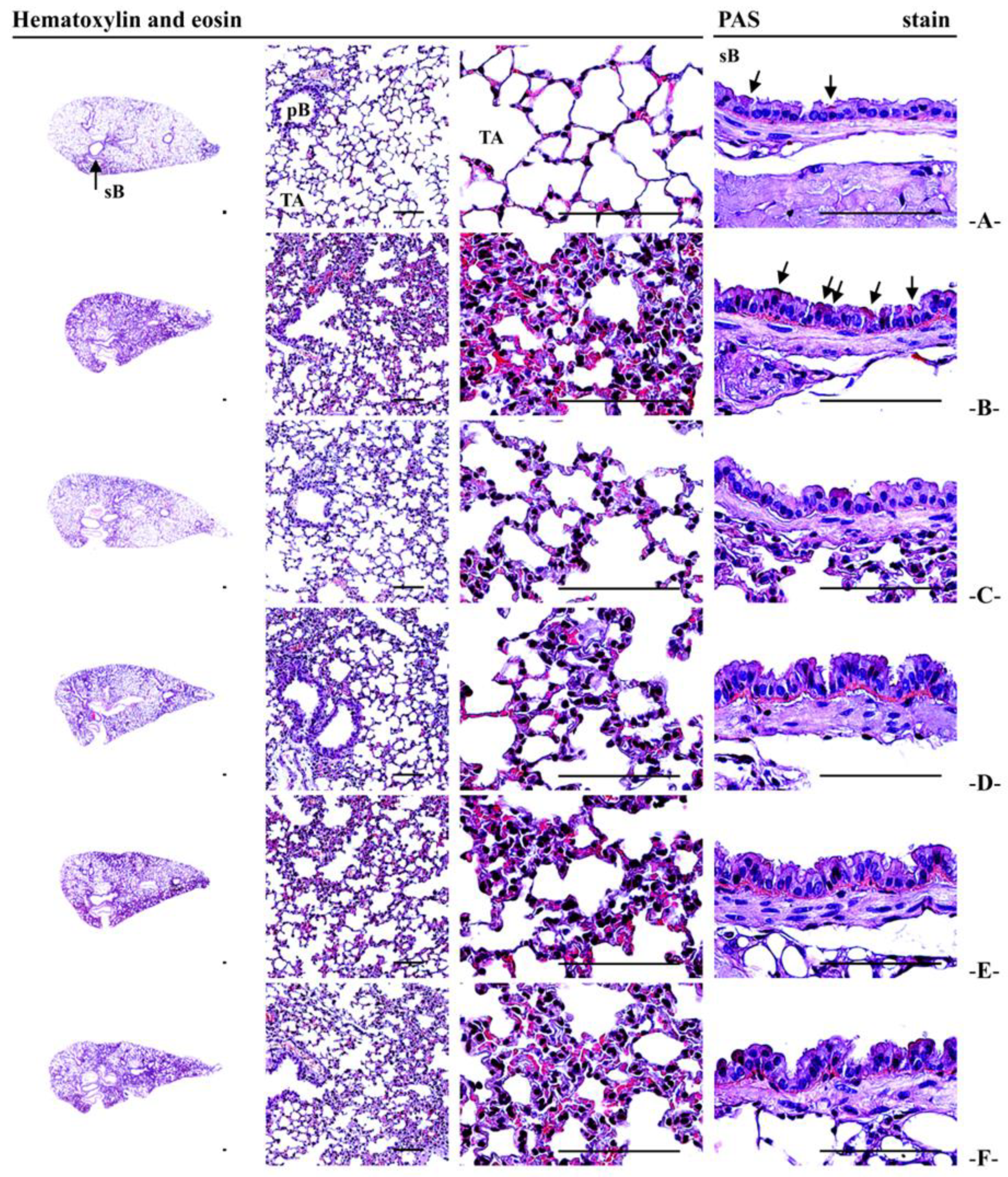 Antioxidants 14 00127 g005