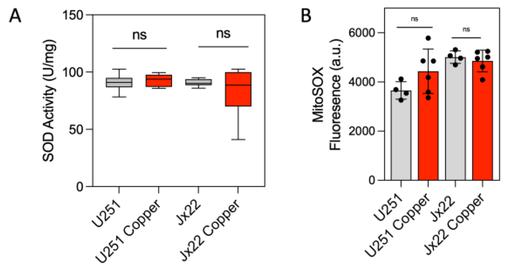 Antioxidants 14 00142 g002