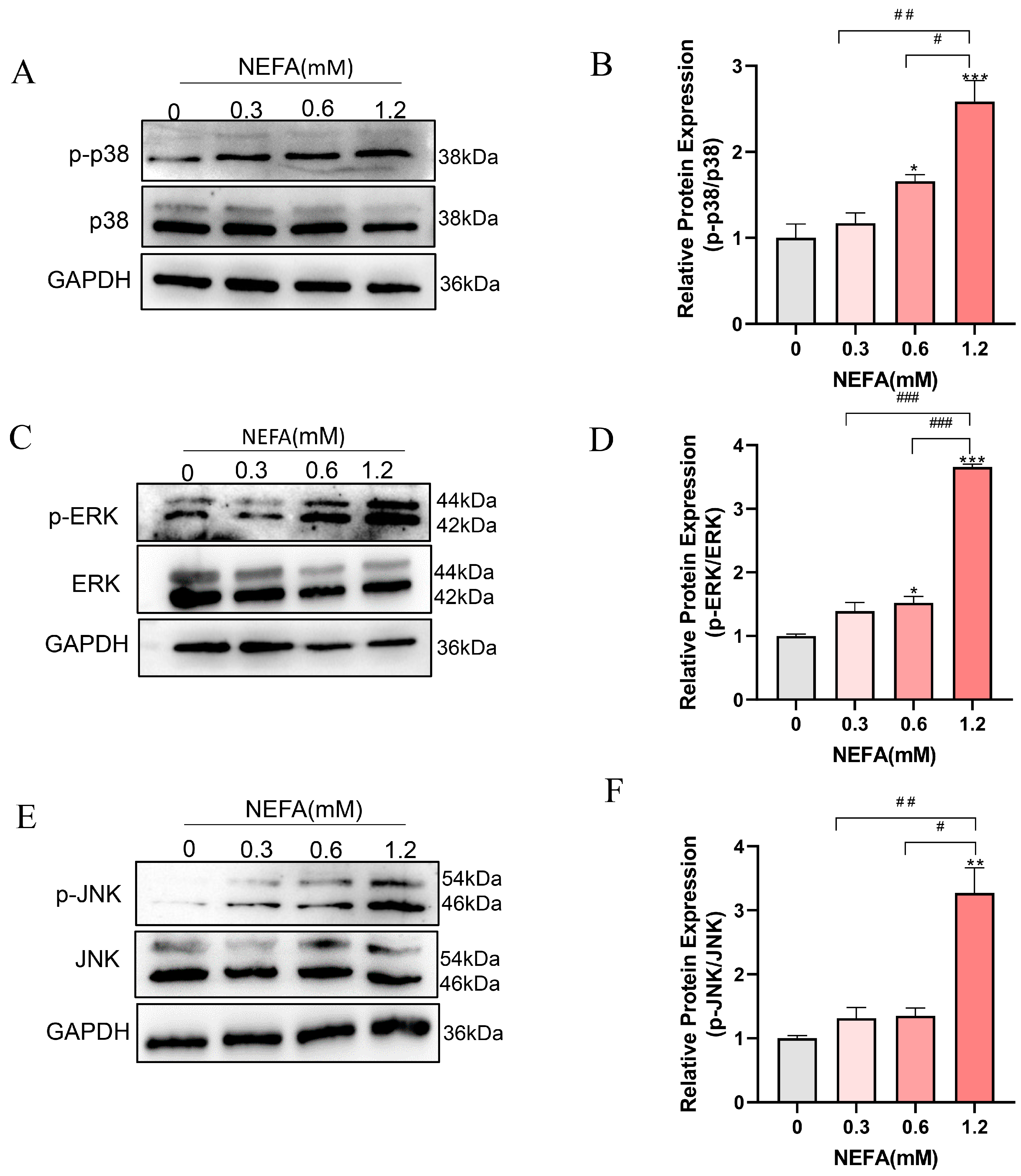 Antioxidants 14 00156 g005