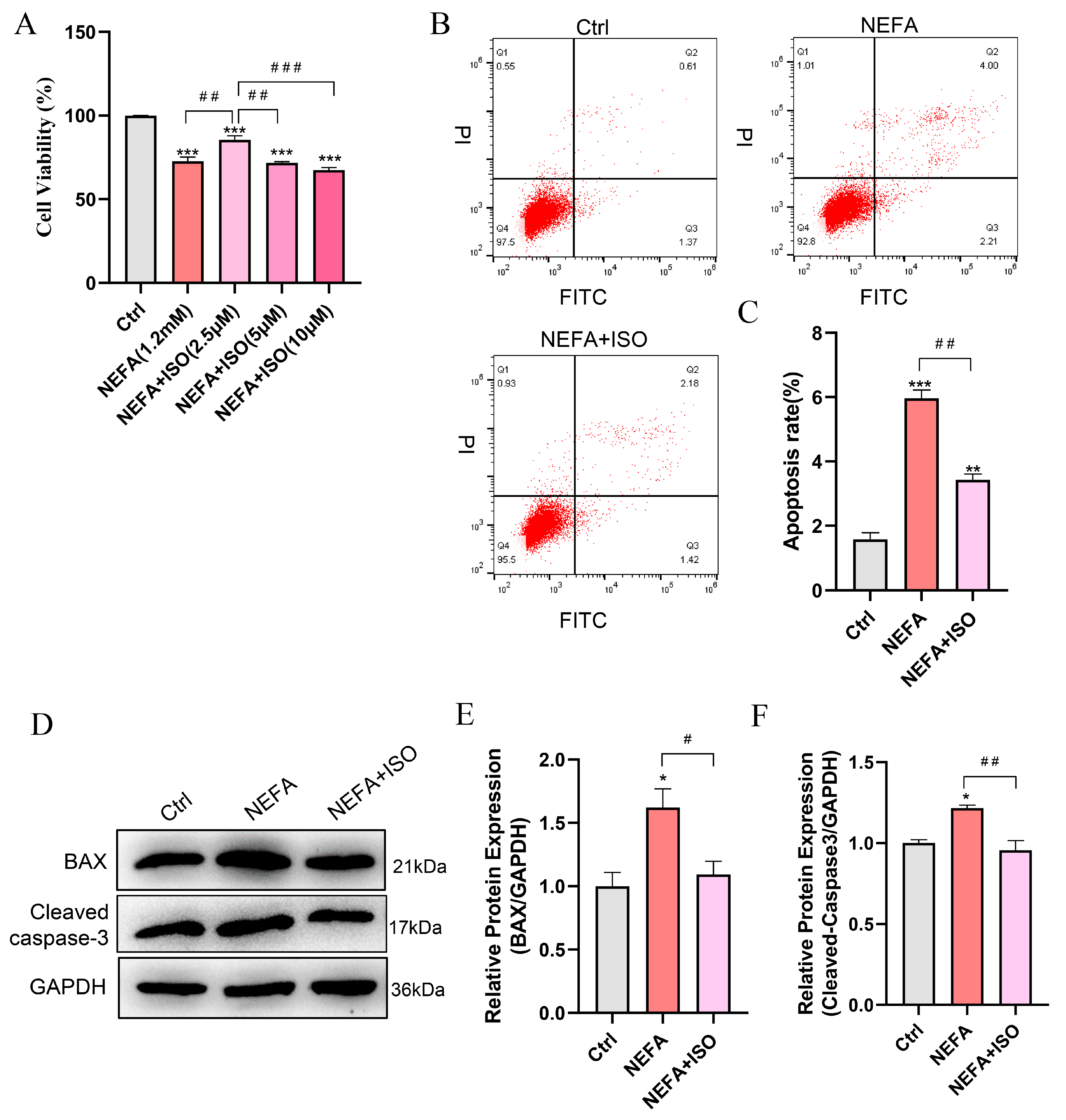 Antioxidants 14 00156 g007