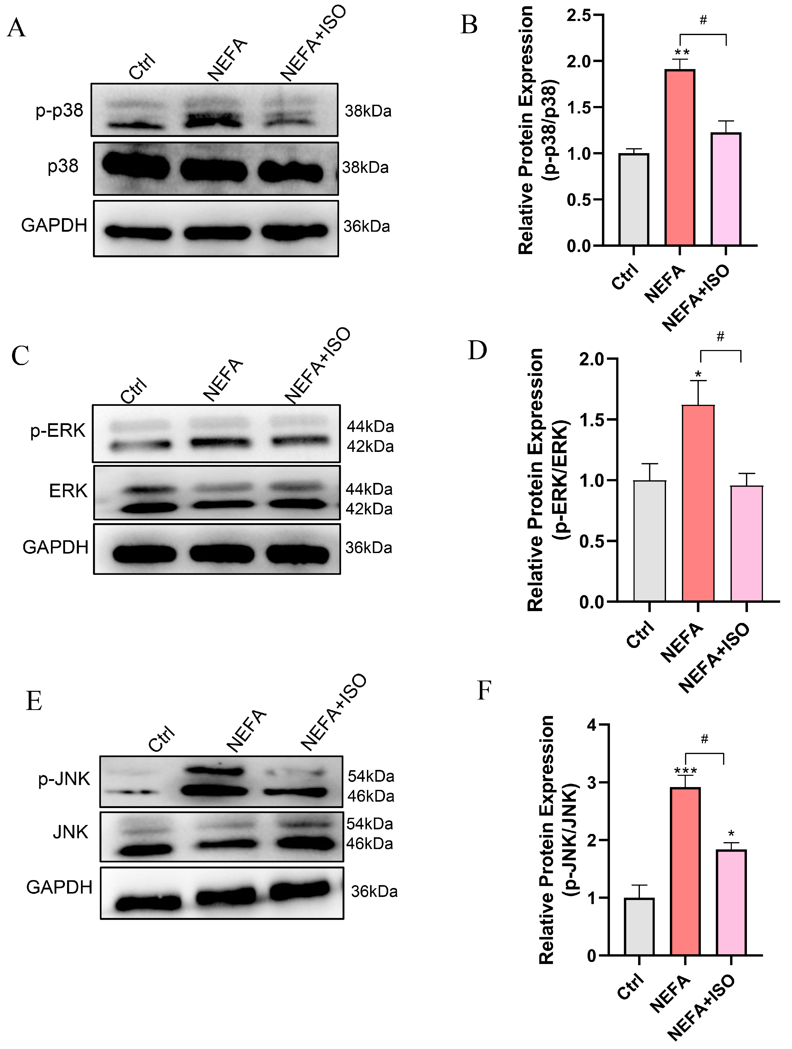 Antioxidants 14 00156 g010