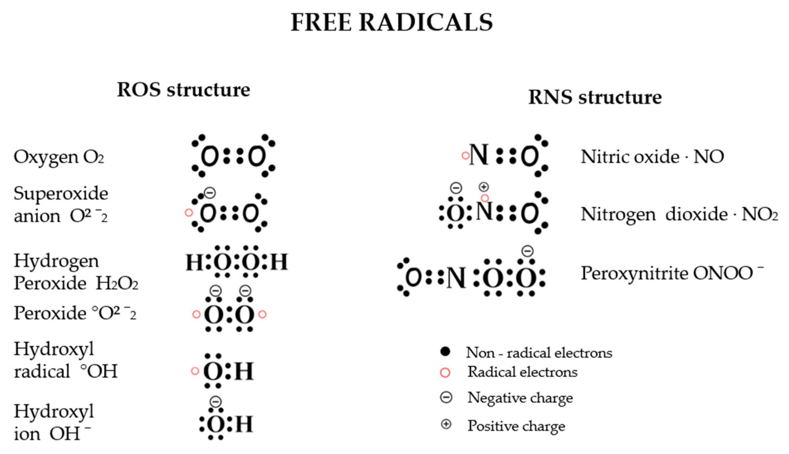 Antioxidants 14 00157 g002