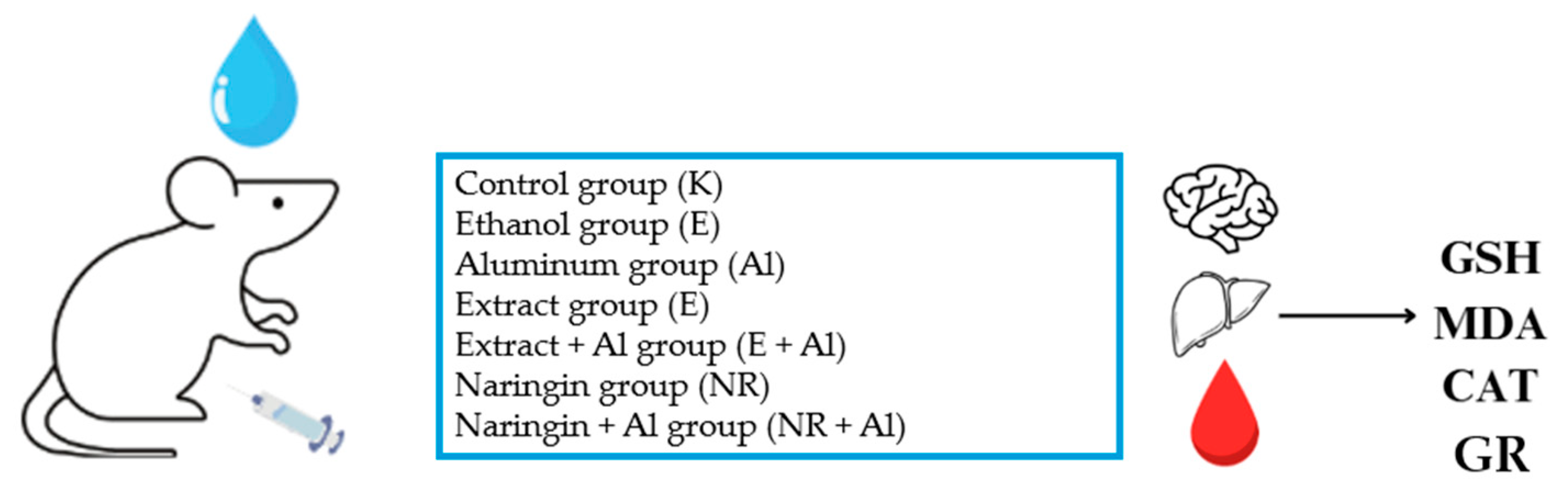 Antioxidants 14 00157 g018