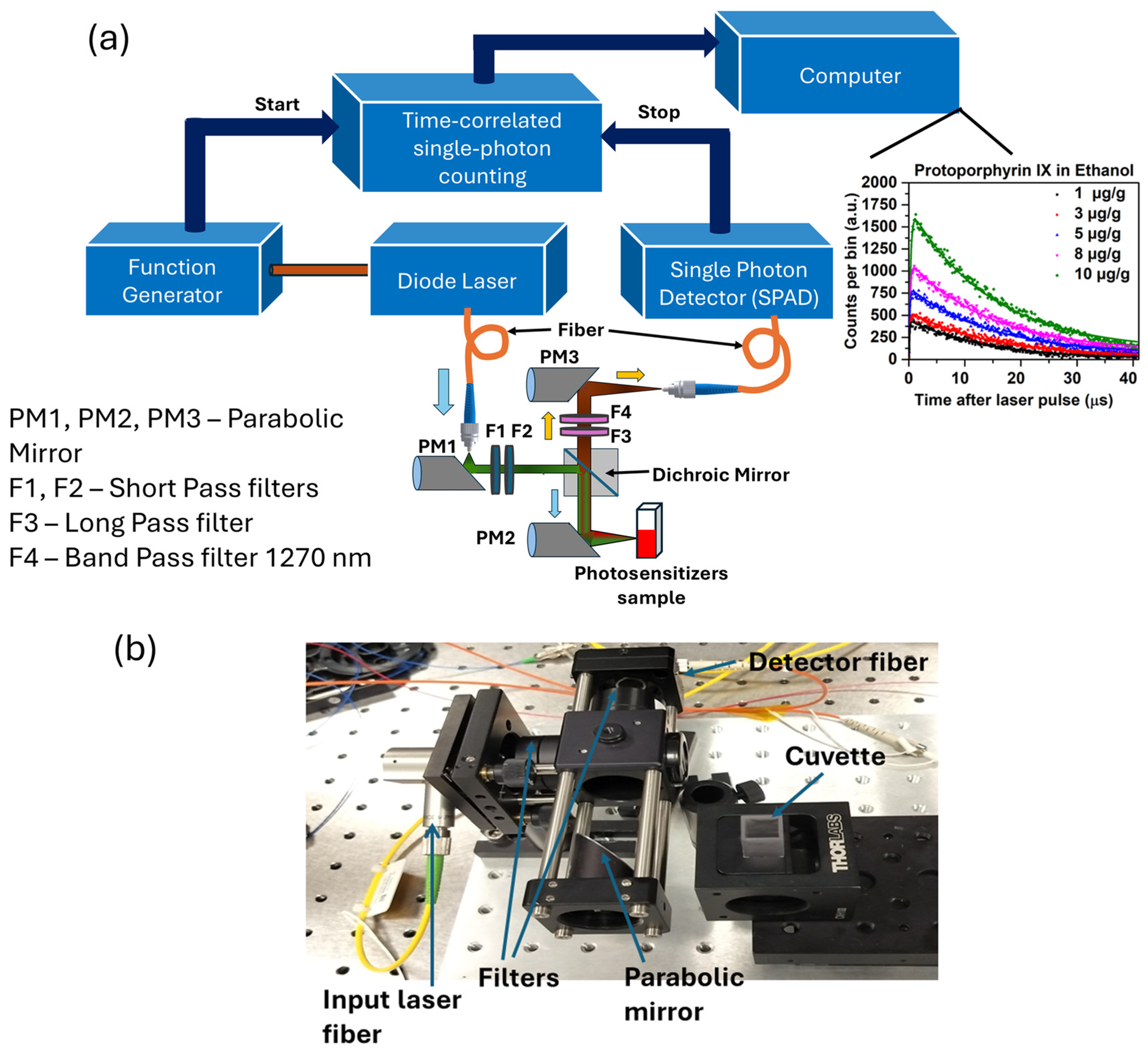 Antioxidants 14 00176 g002