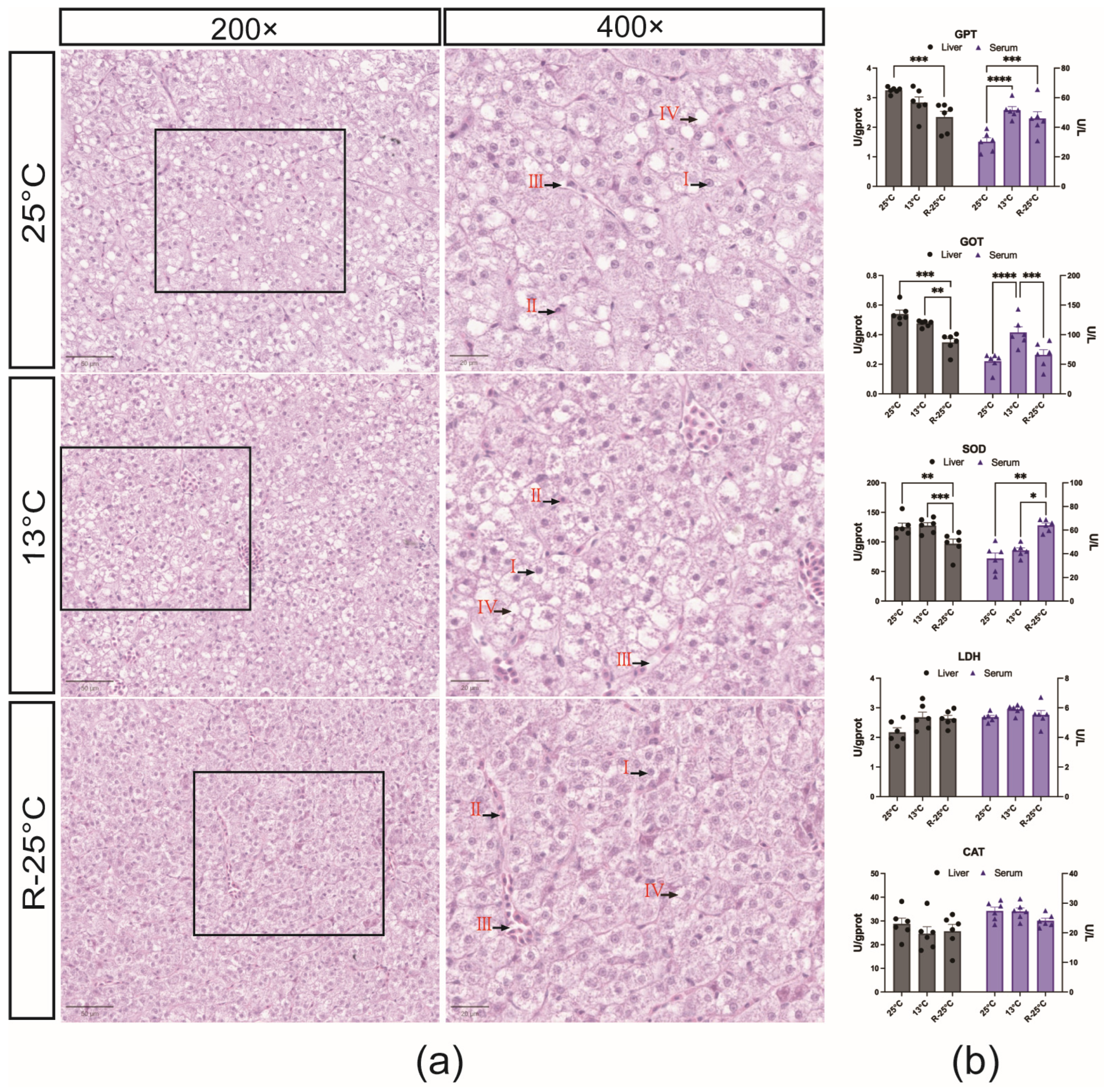 Antioxidants 14 00223 g002