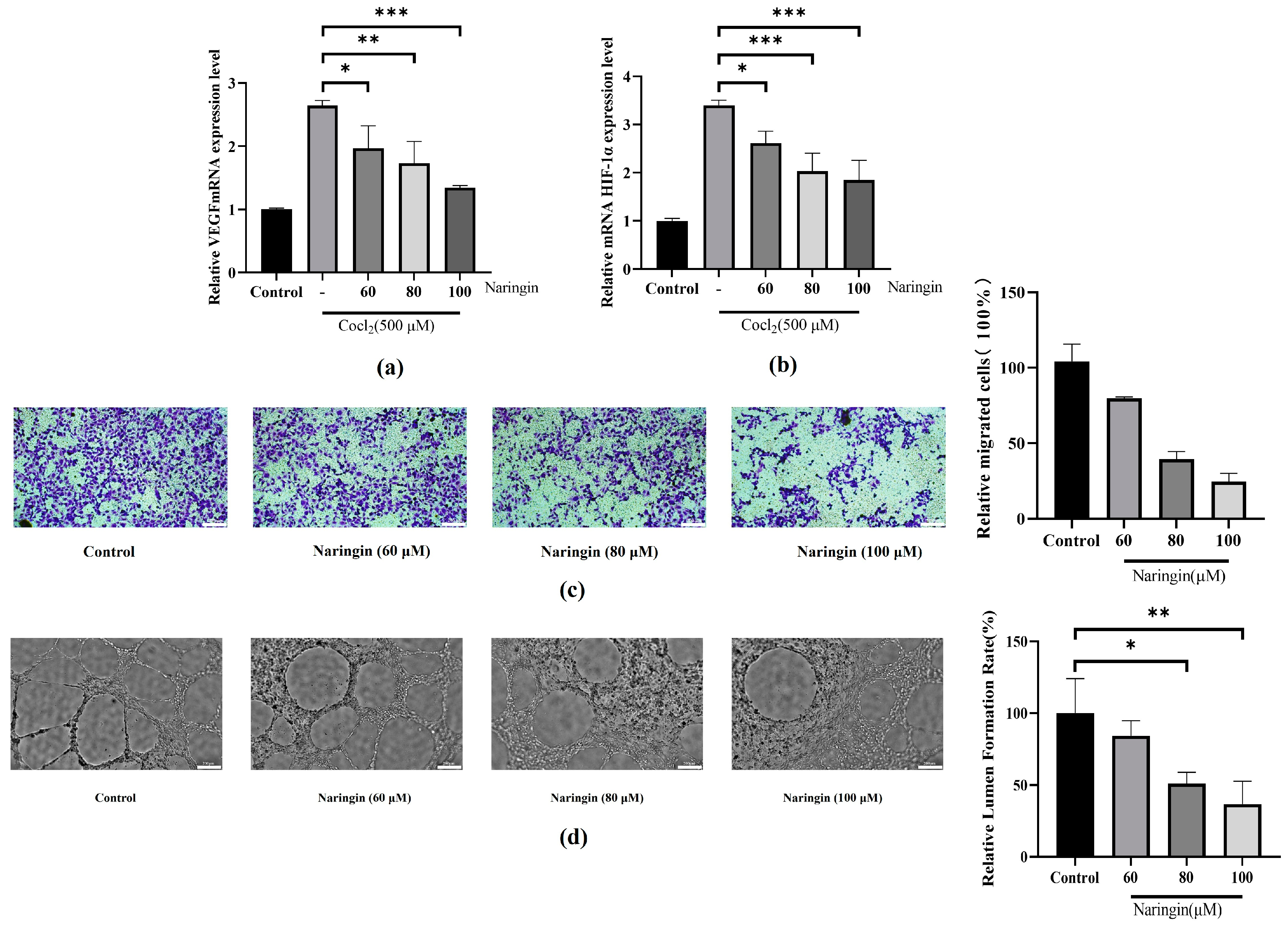 Antioxidants 14 00236 g002