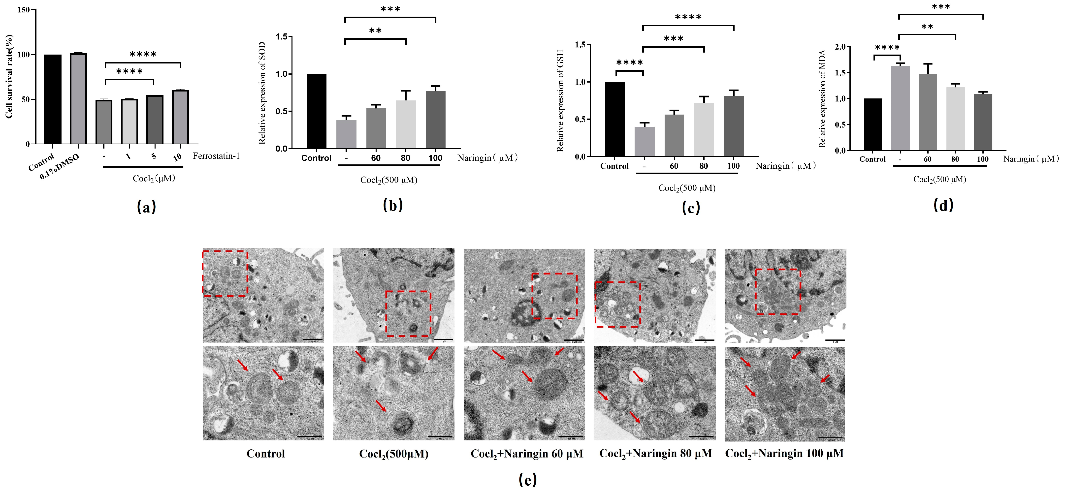 Antioxidants 14 00236 g004