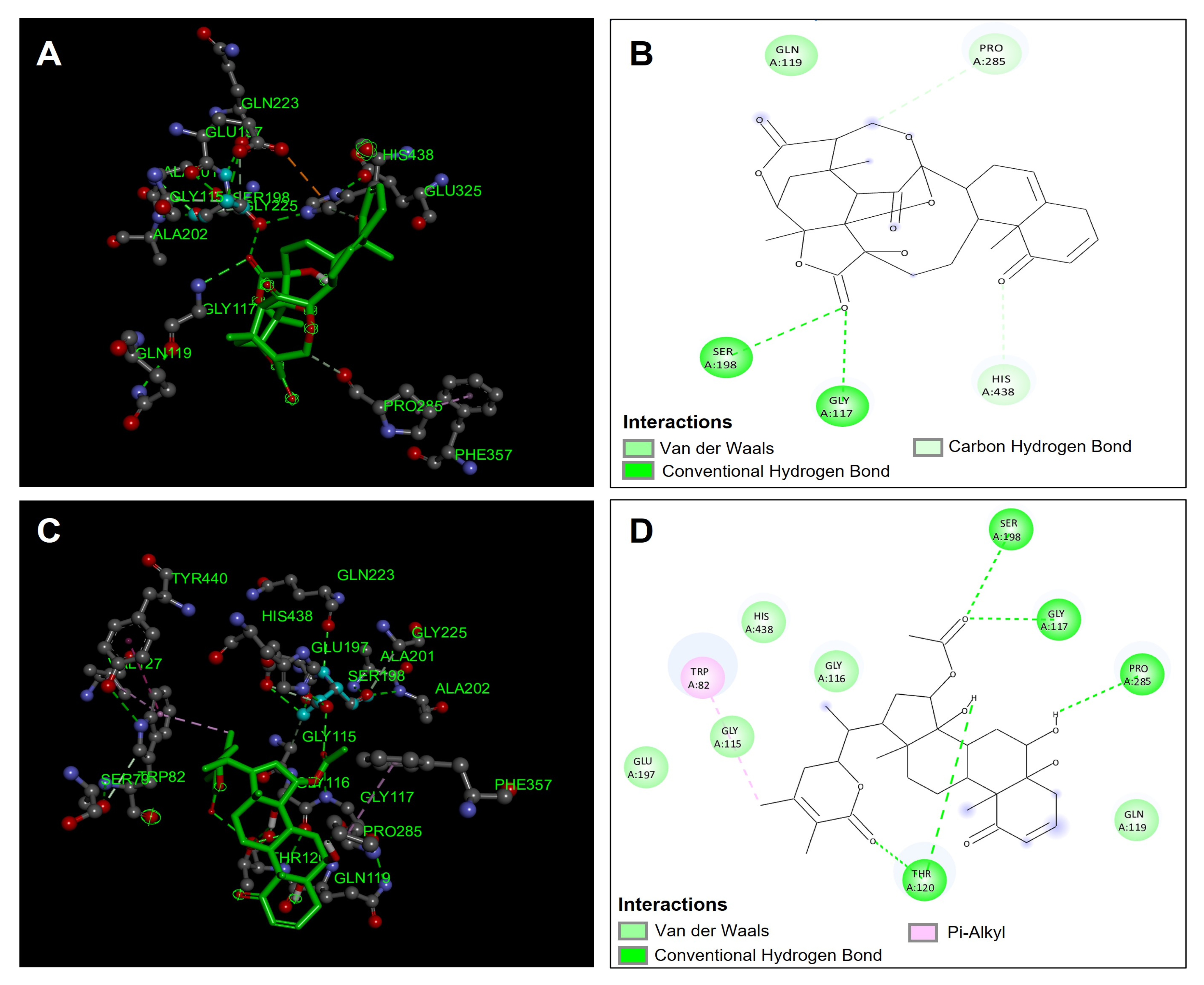 Antioxidants 14 00246 g006
