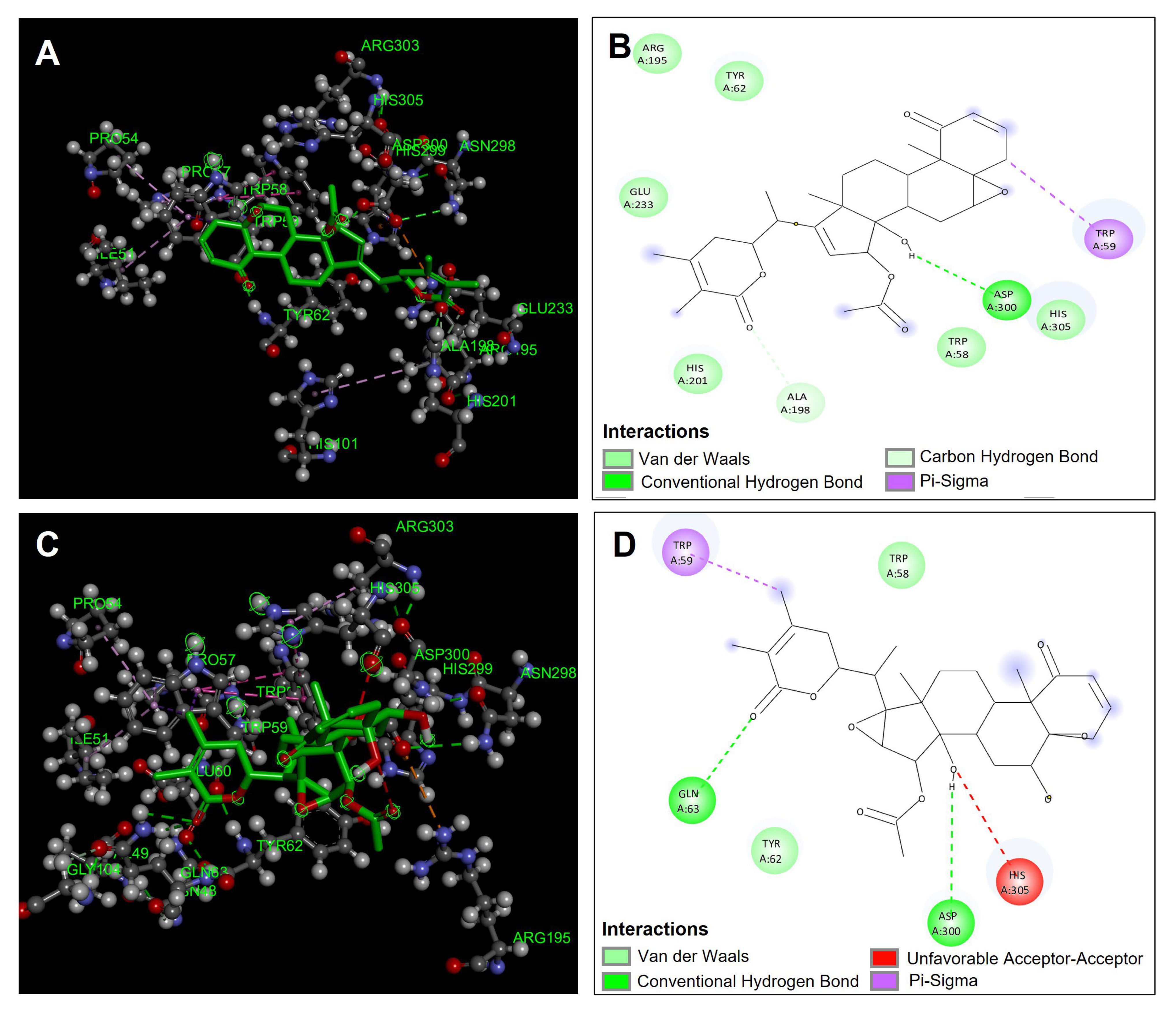 Antioxidants 14 00246 g007
