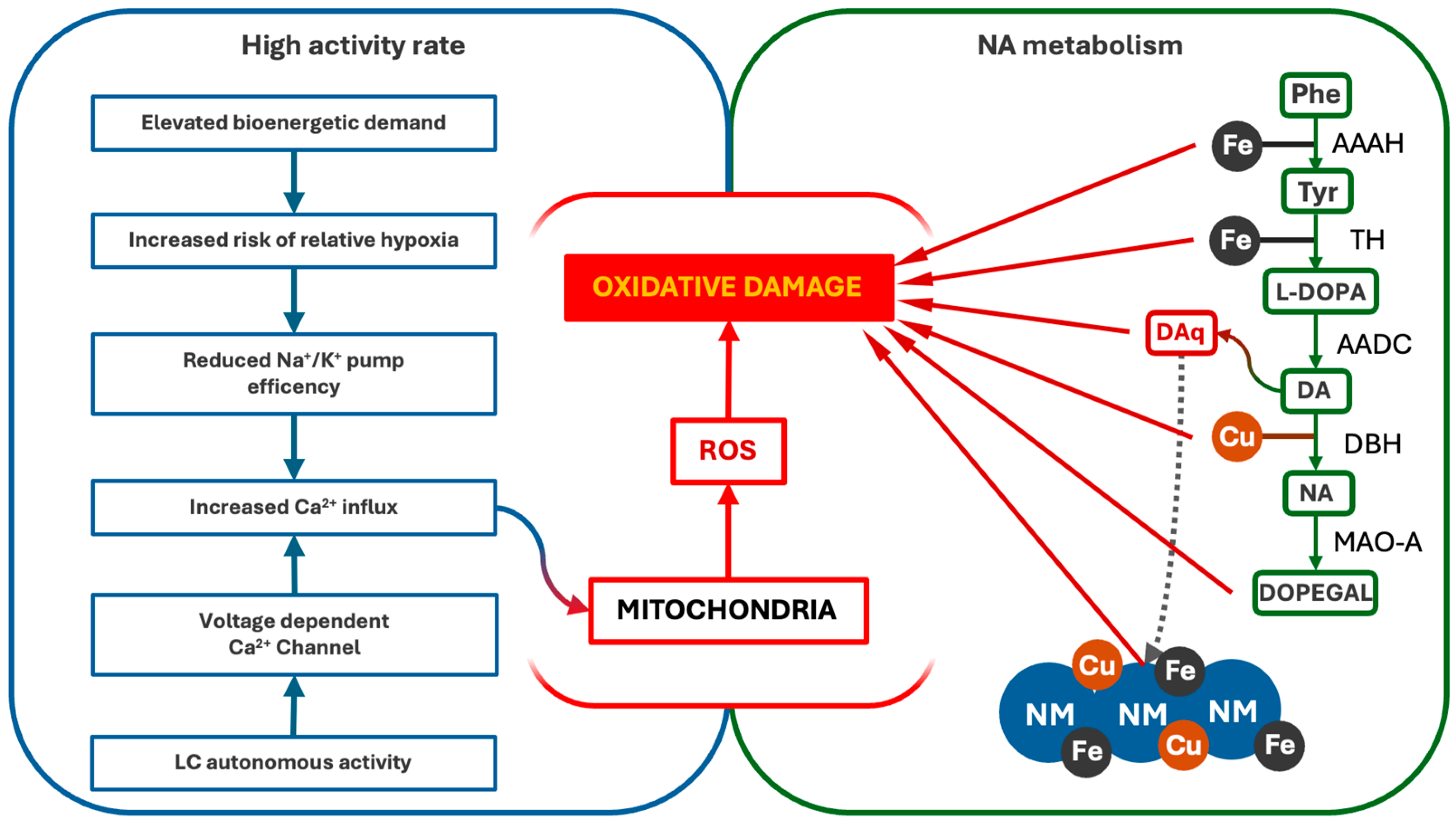 Antioxidants 14 00255 g002 Antioxidants 14 00255 g002