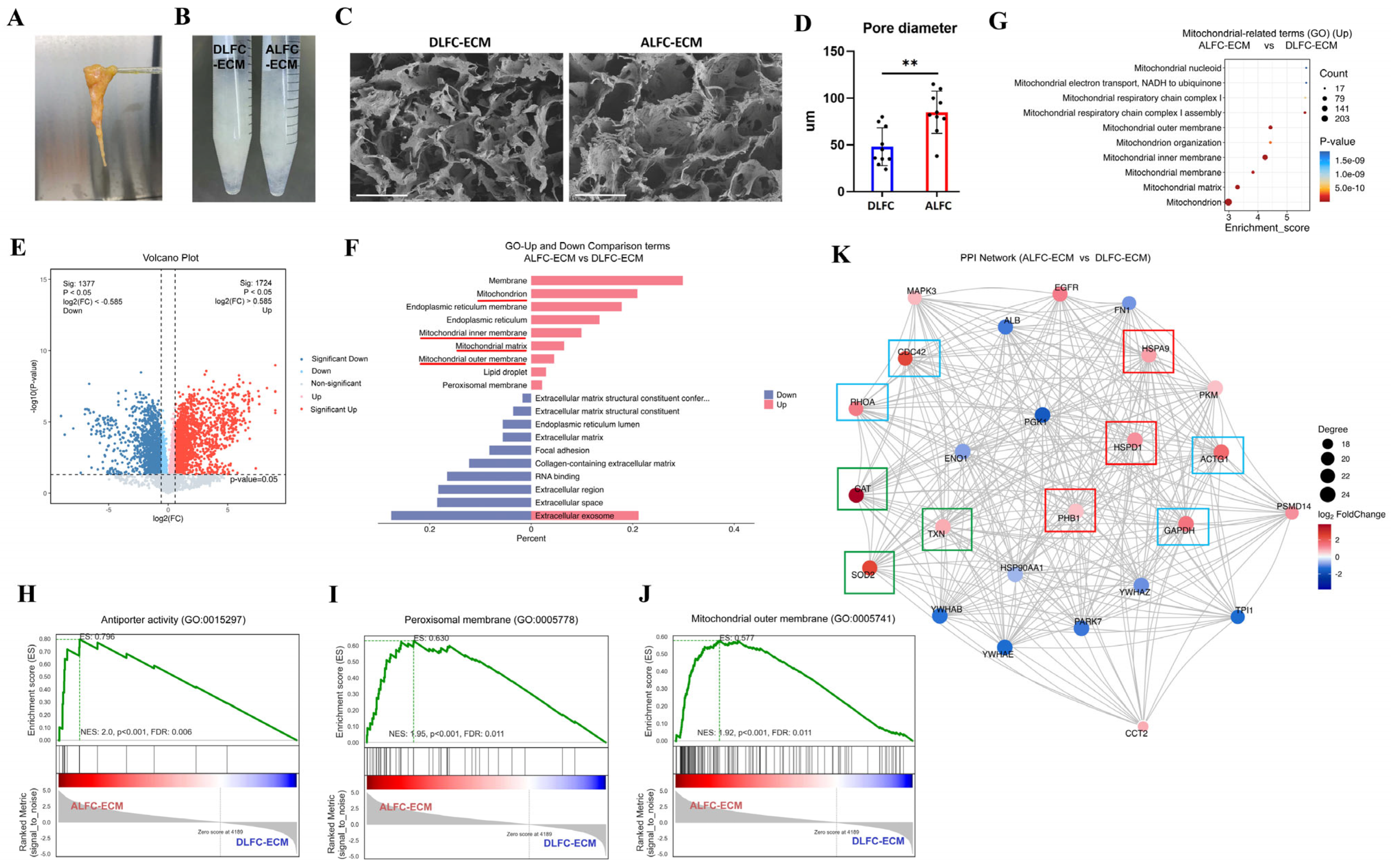Antioxidants 14 00270 g003