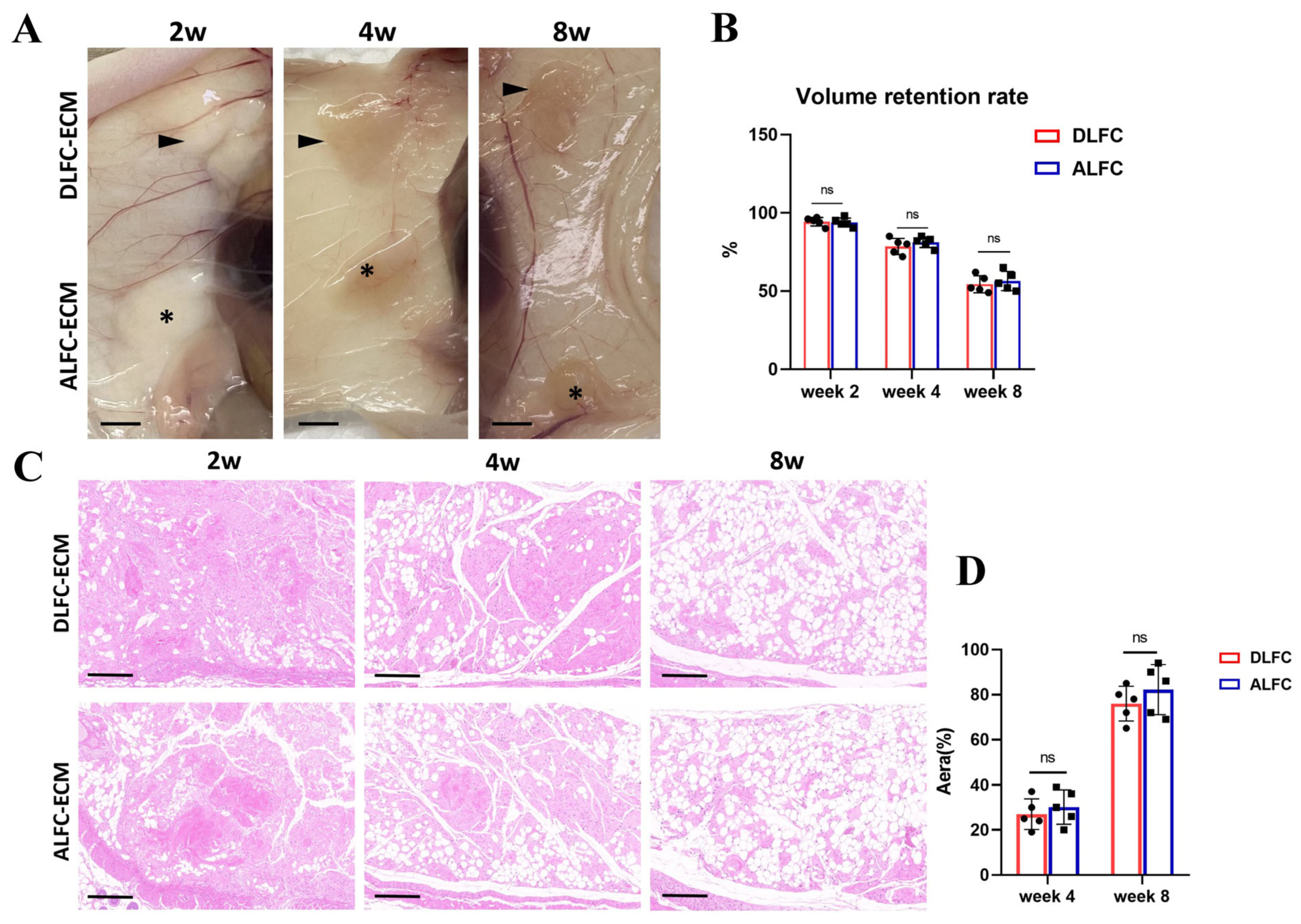 Antioxidants 14 00270 g005