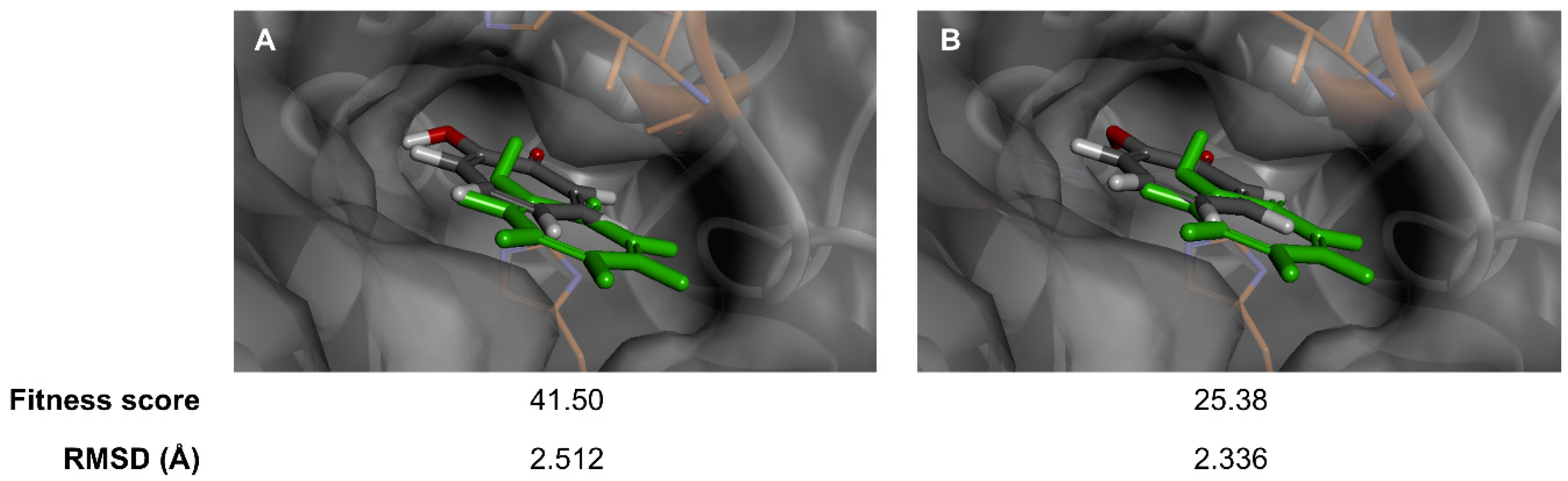 Antioxidants 14 00272 g002