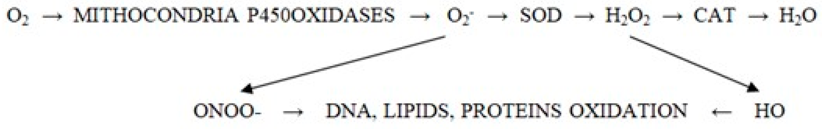 Antioxidants 14 00303 g003