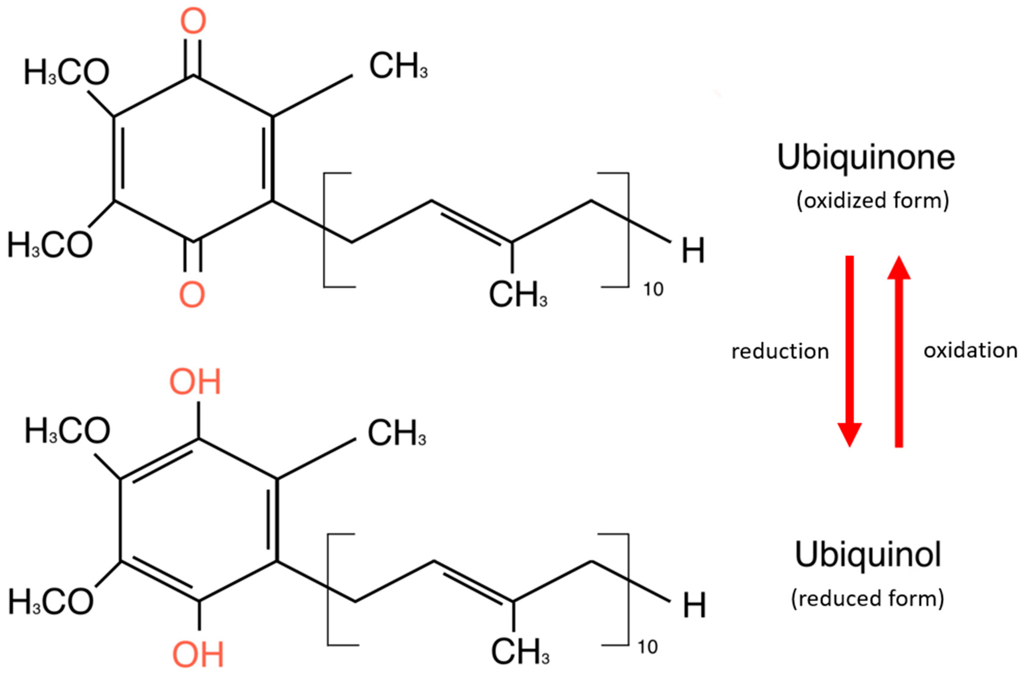 Antioxidants 14 00318 g001