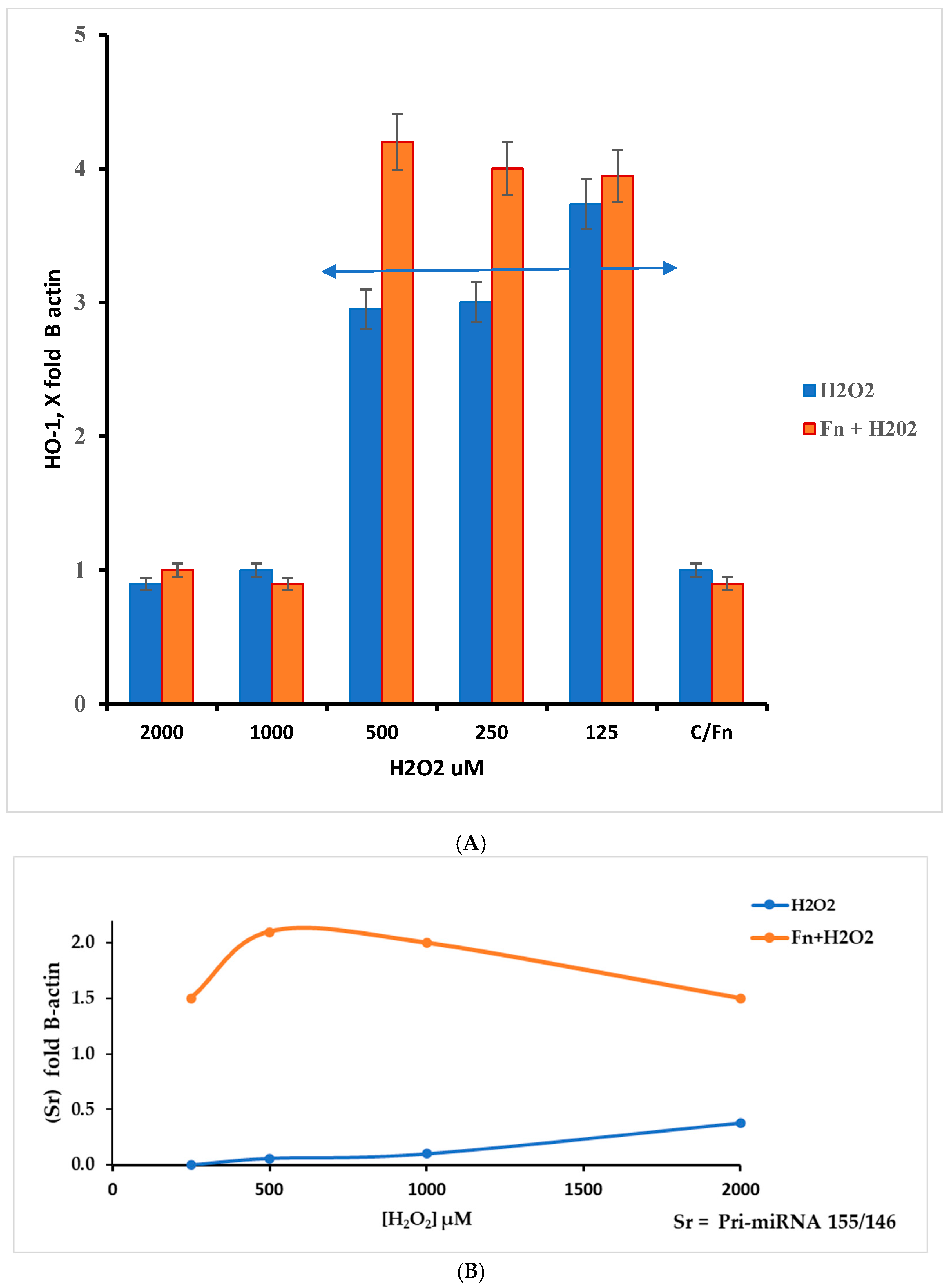 Antioxidants 14 00323 g006