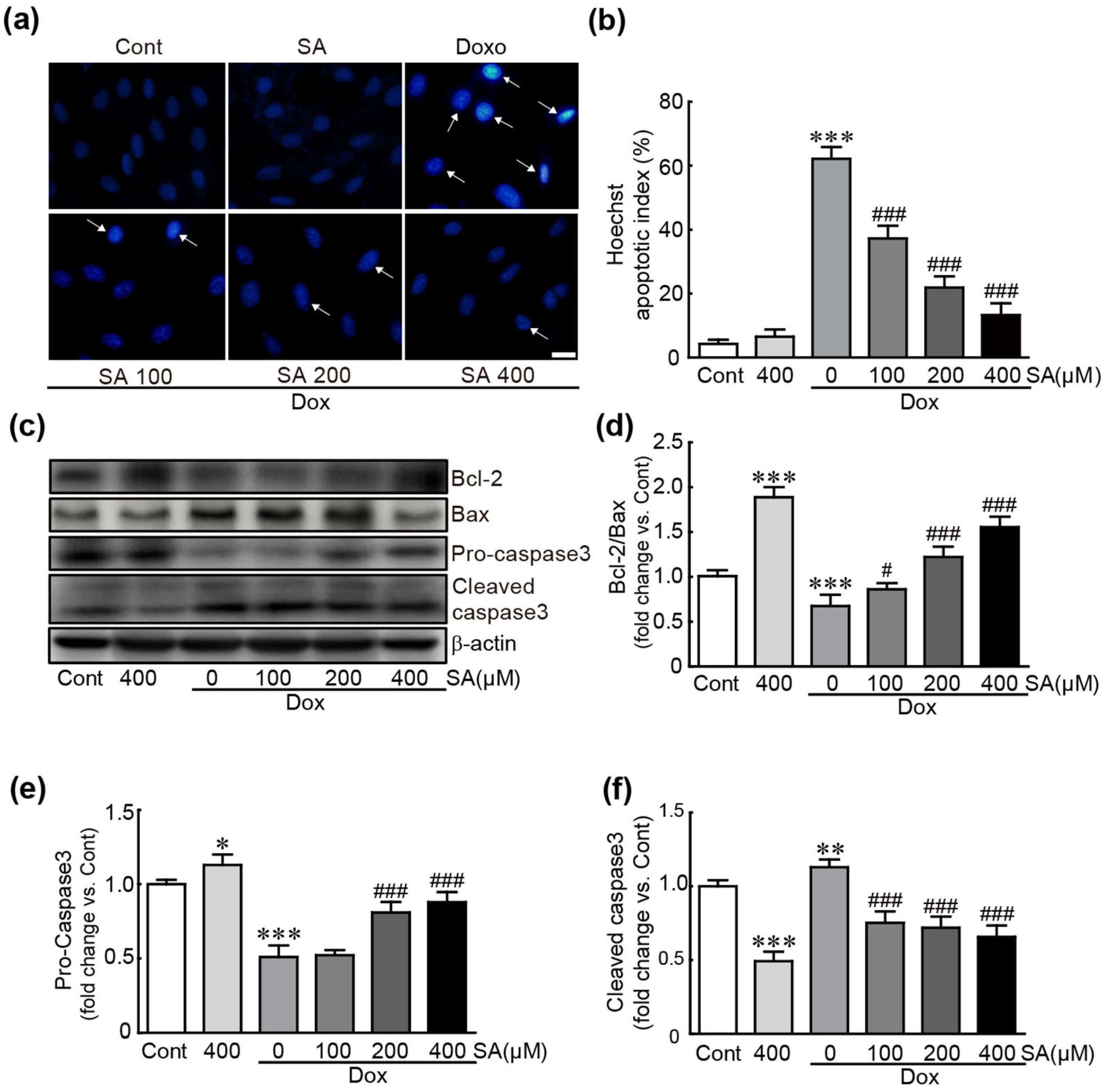 Antioxidants 14 00337 g002