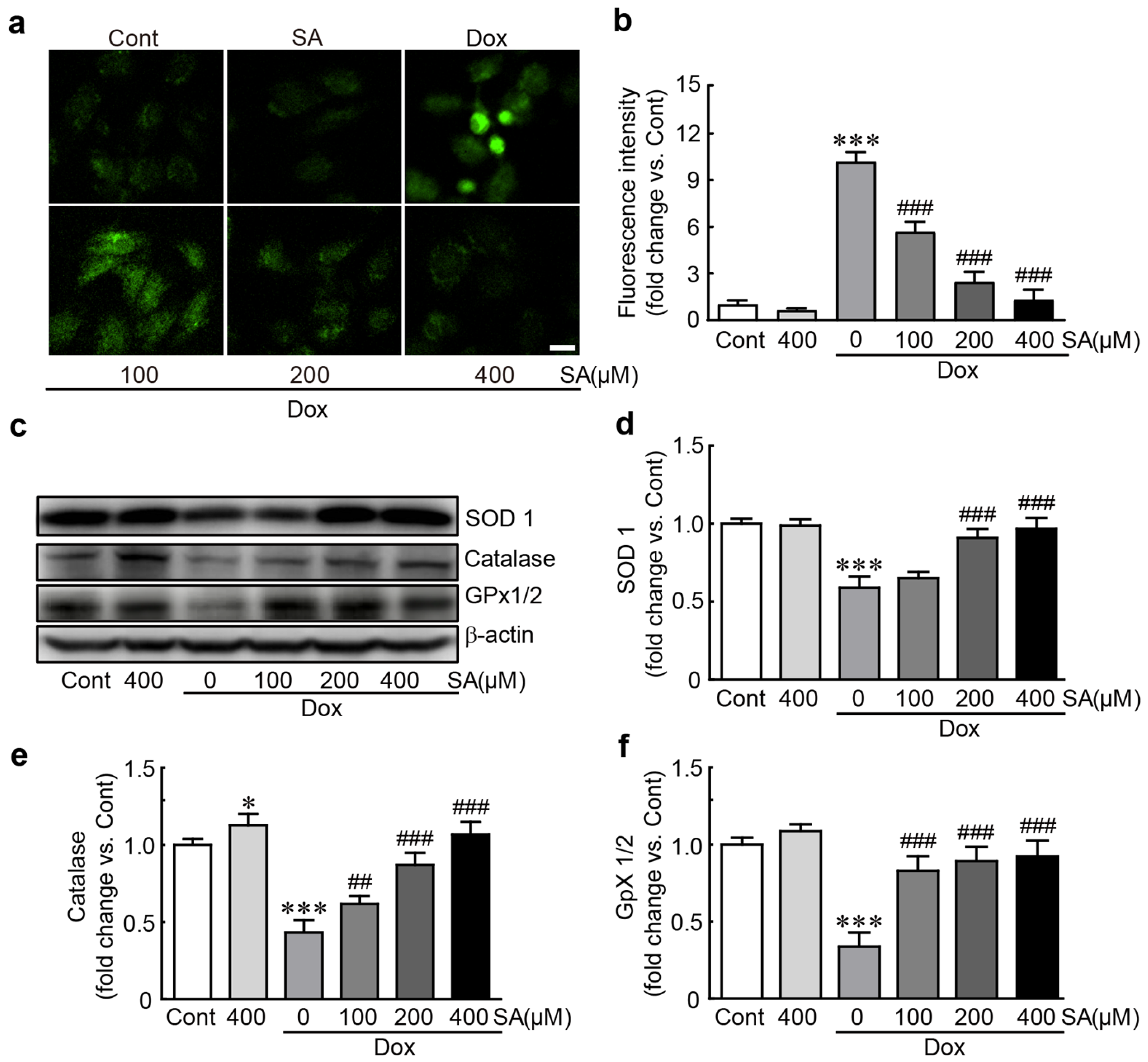 Antioxidants 14 00337 g003