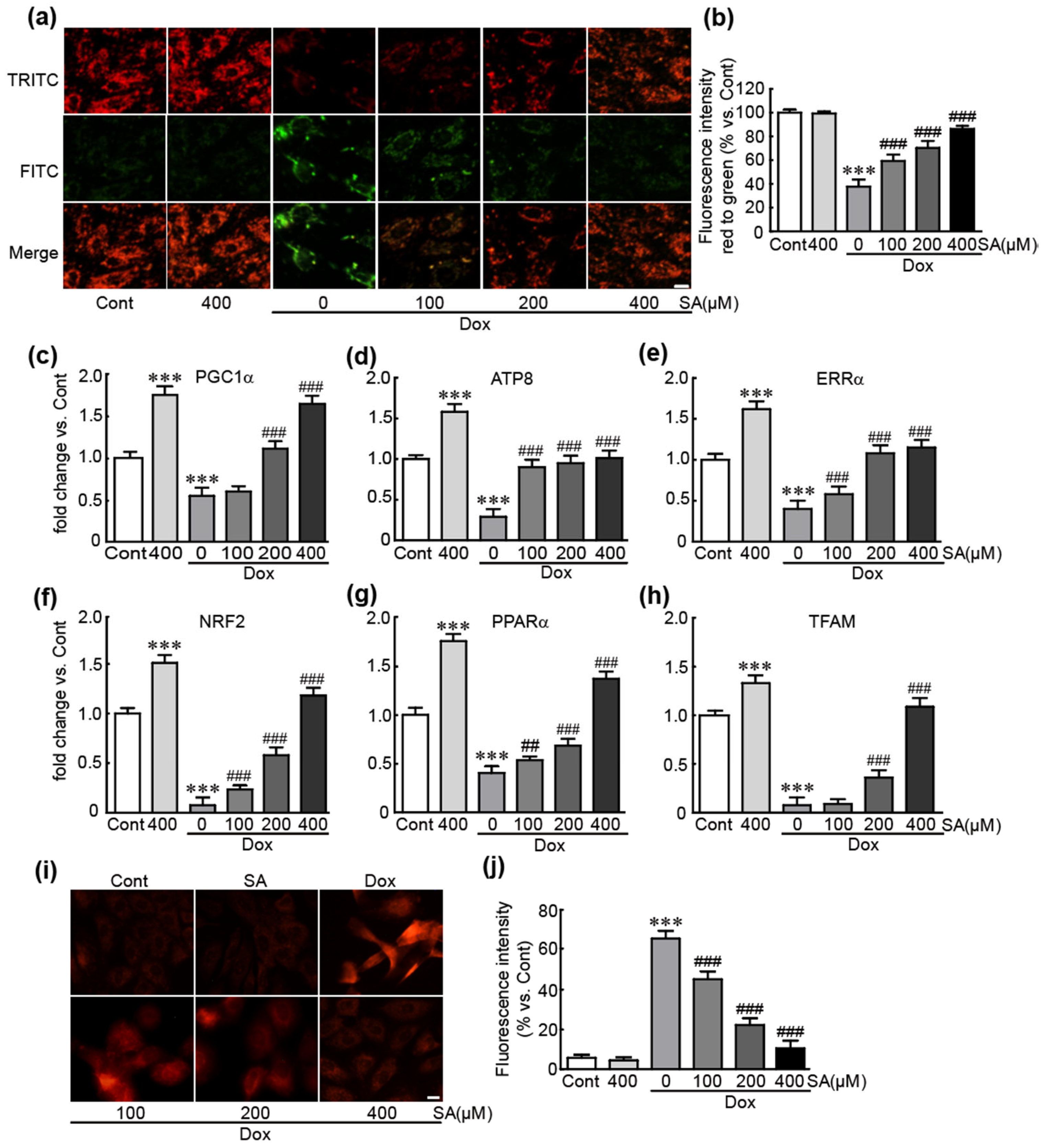 Antioxidants 14 00337 g004