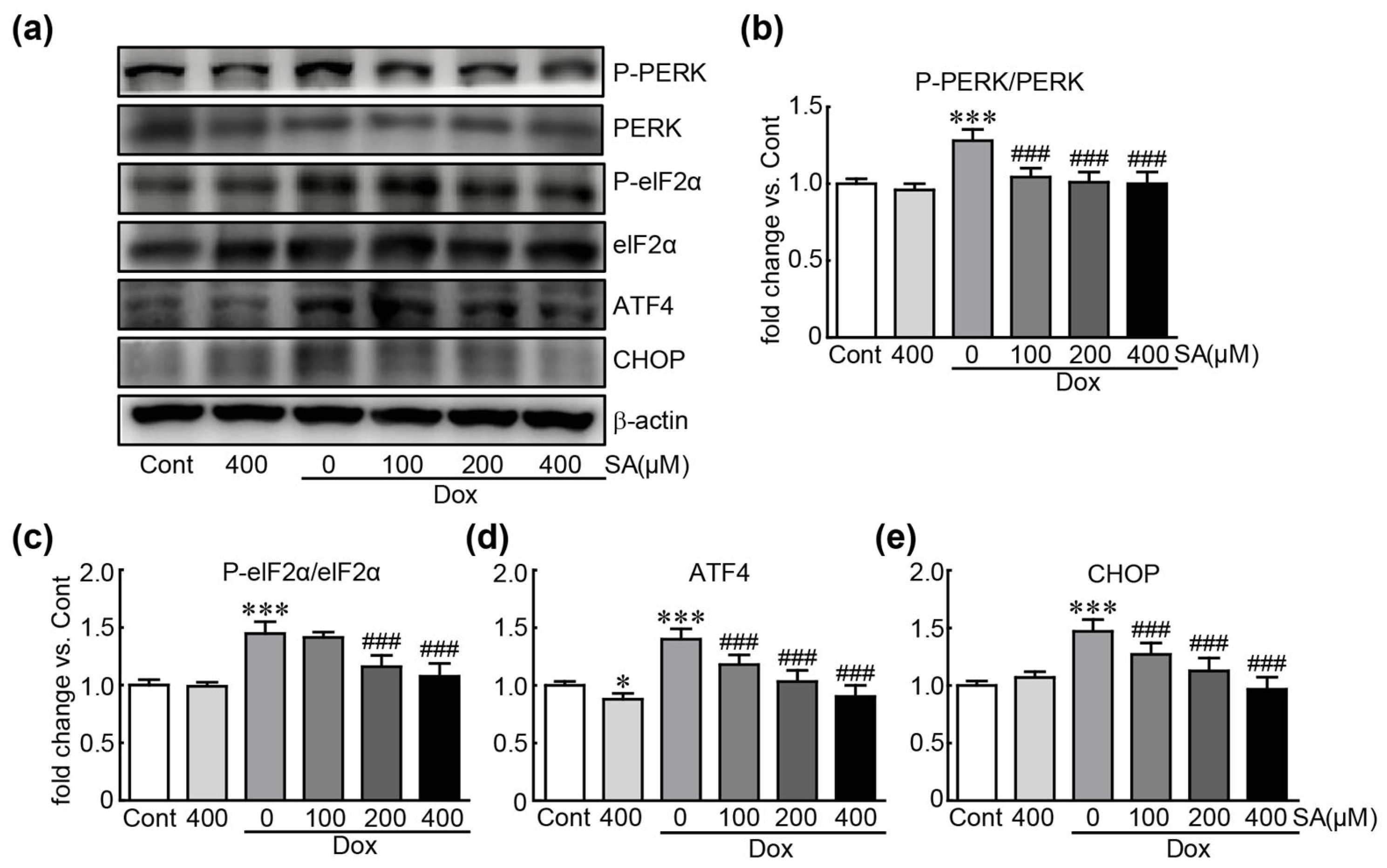 Antioxidants 14 00337 g005