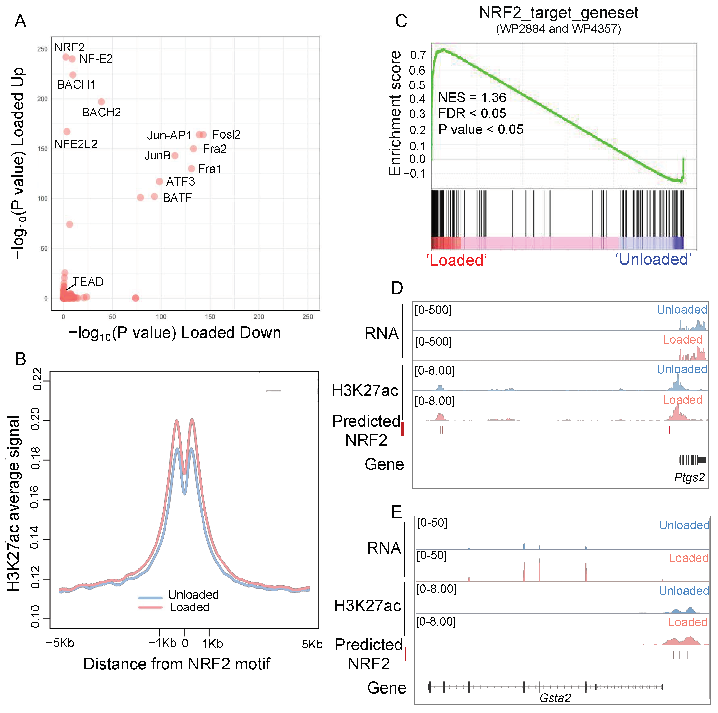 Antioxidants 14 00346 g002
